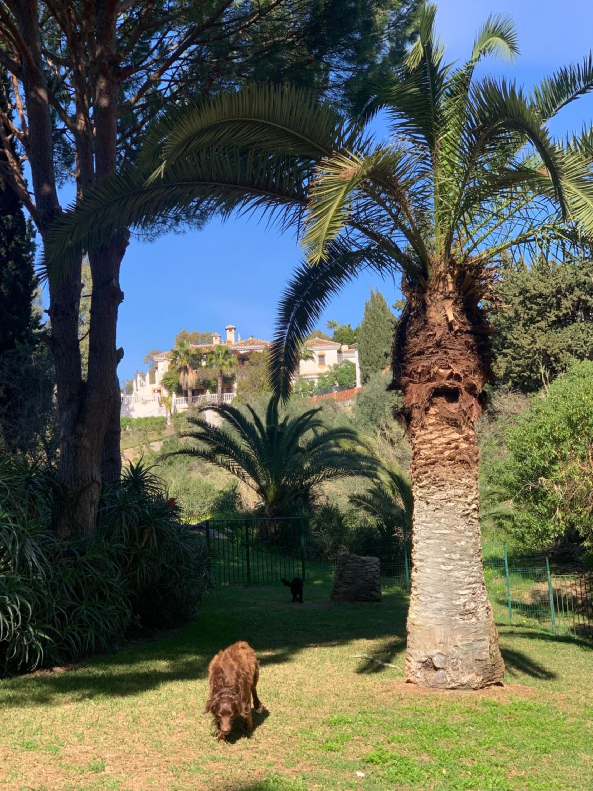 Casa Hermosa Mijas