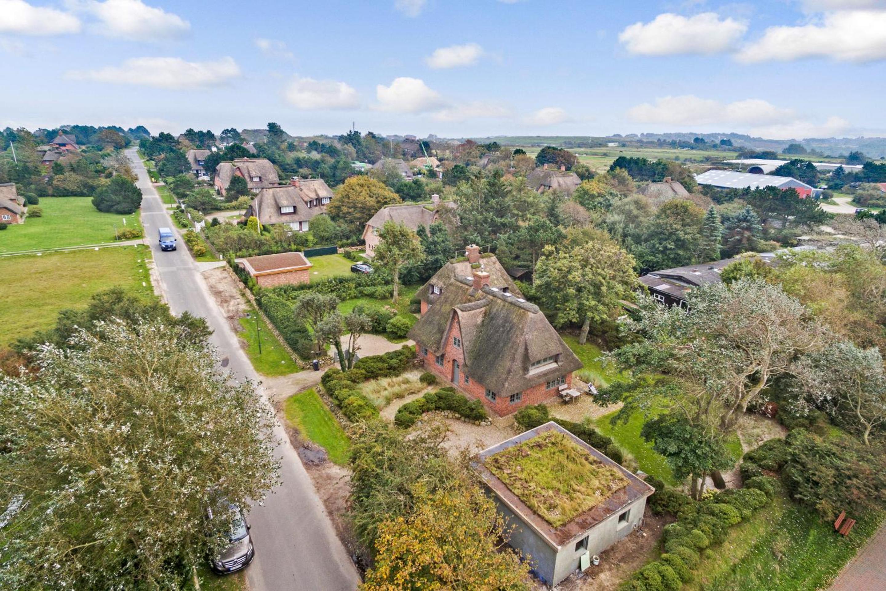 Hiirhues