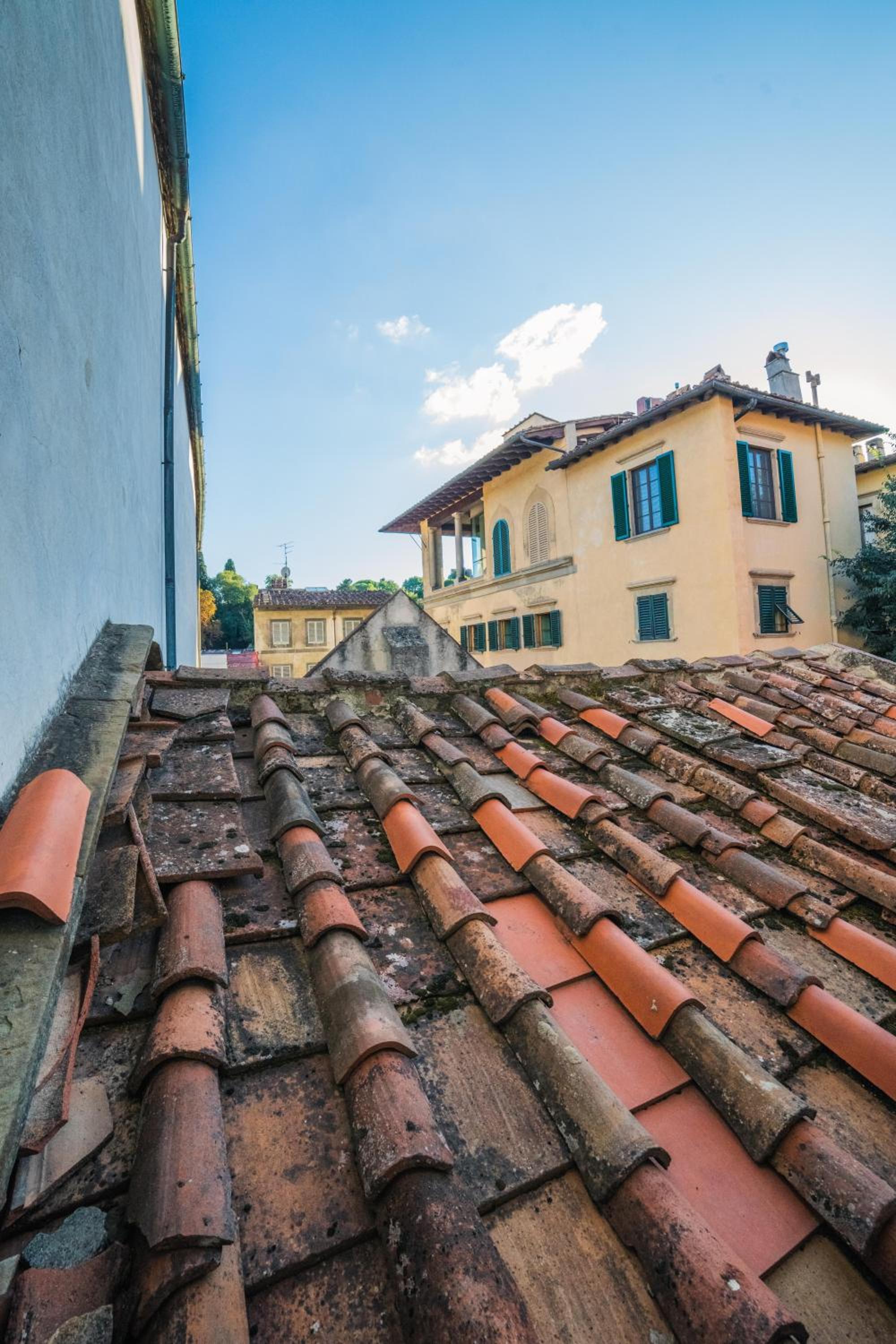 roof
