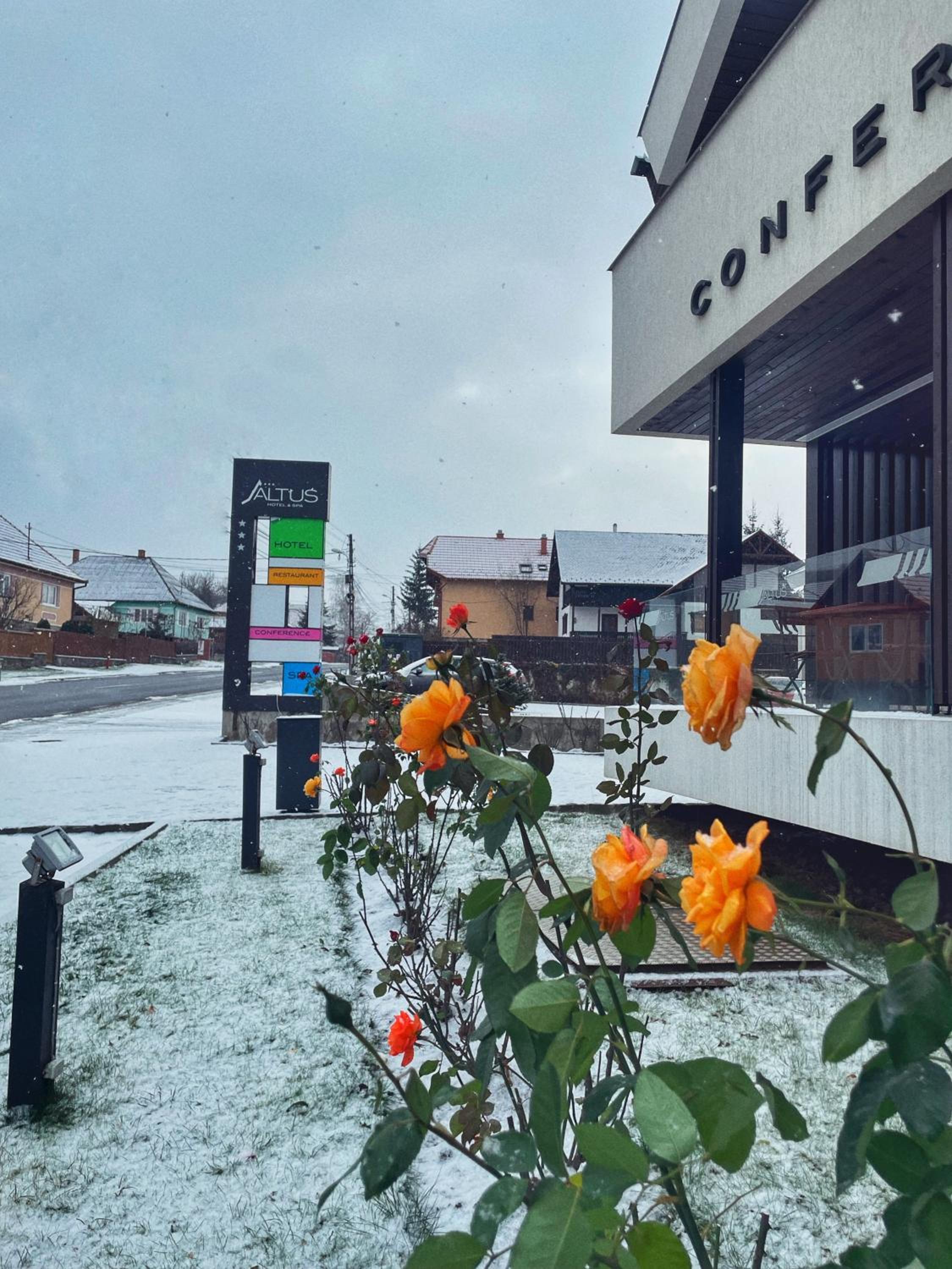 Hotel Altus Hotel & Spa