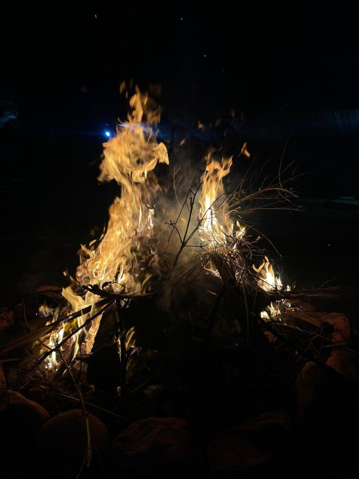 Photo 40