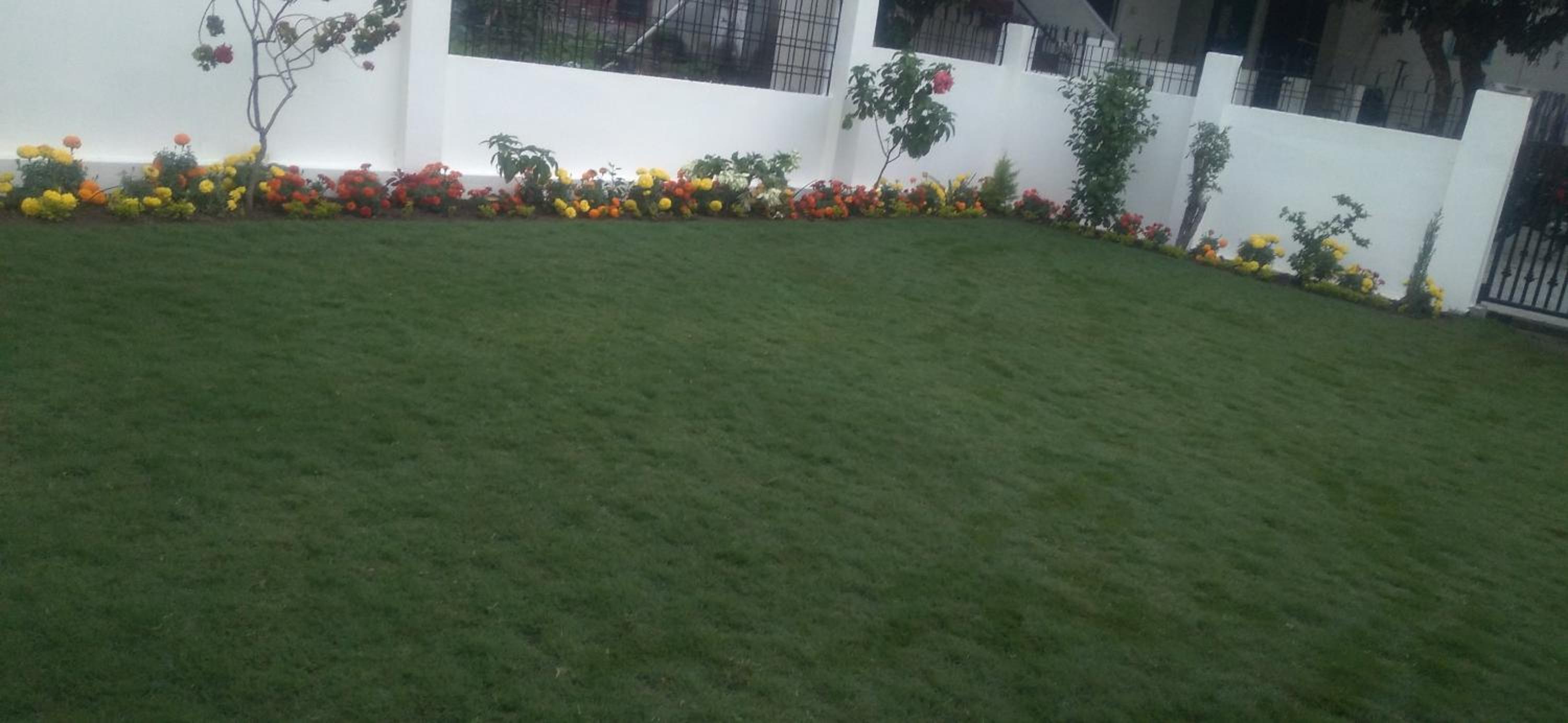 Hill Queen Home stay