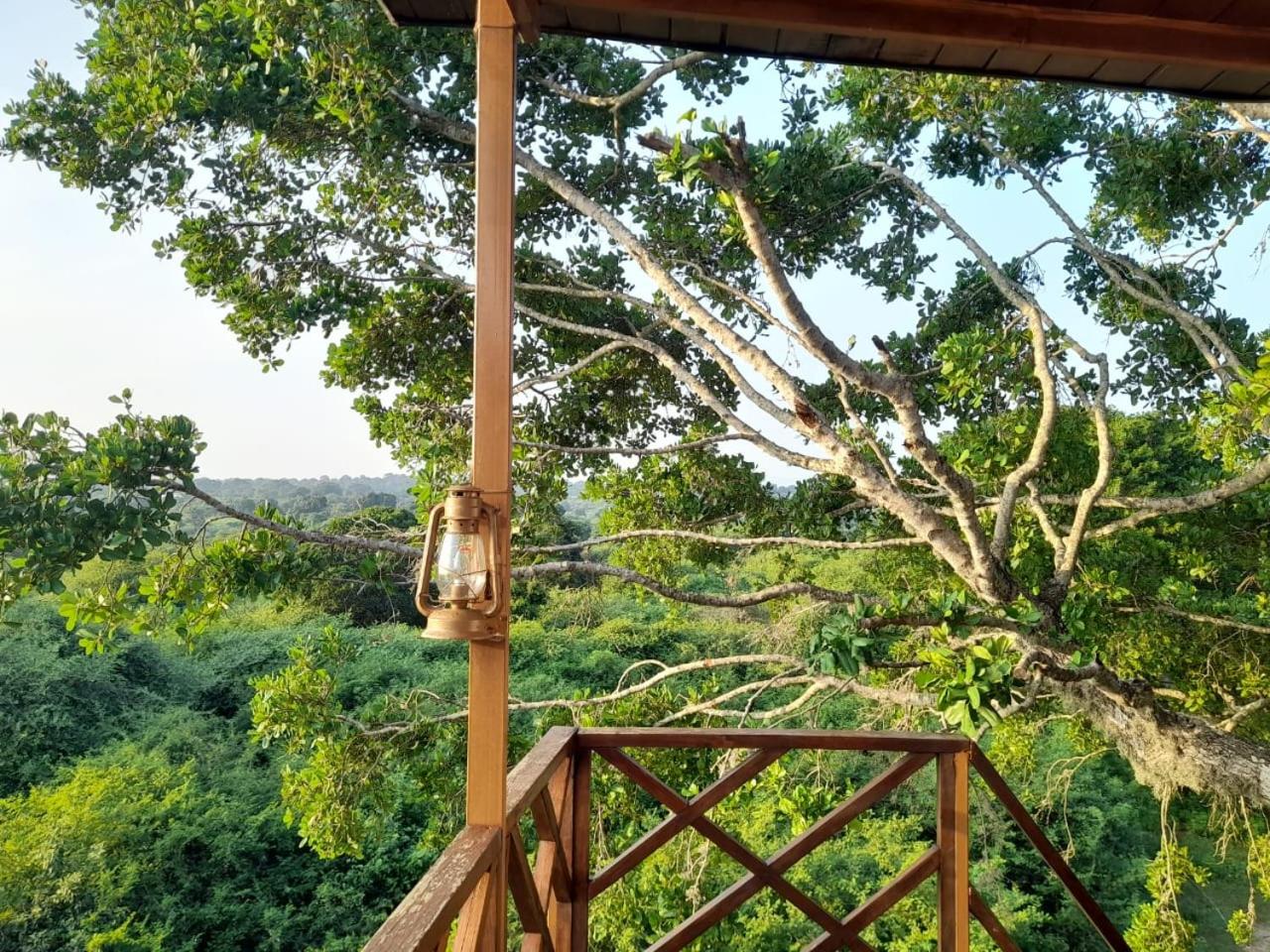 Leopard Nest in Yala view 5