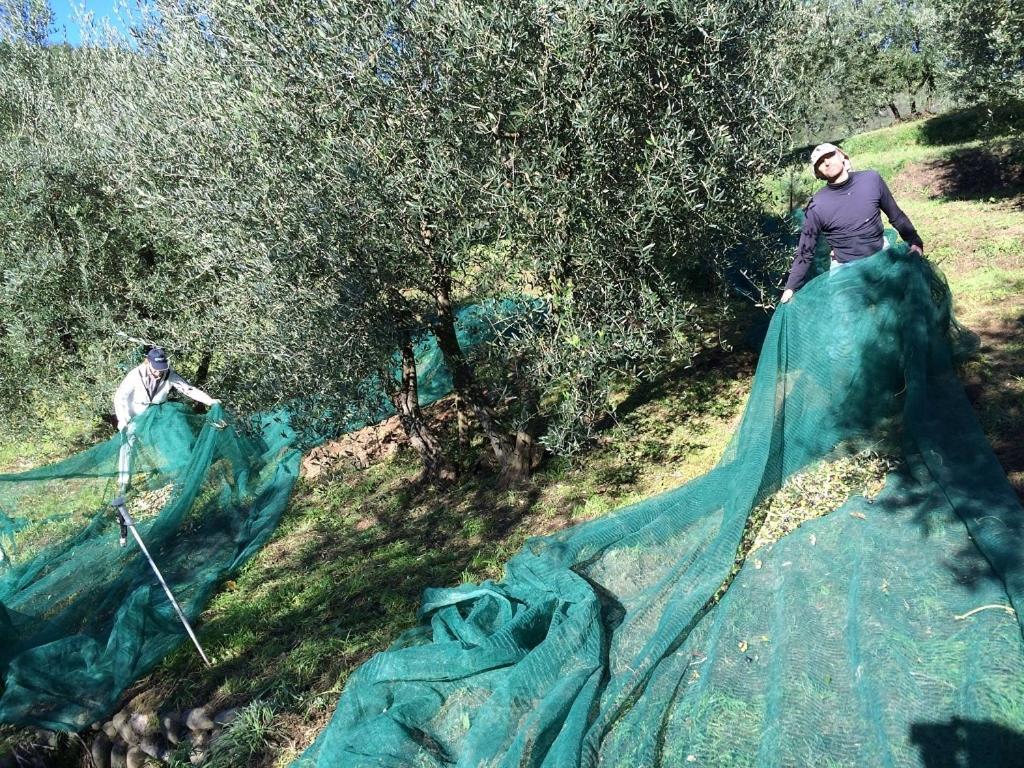 Agriturismo Terrarossa