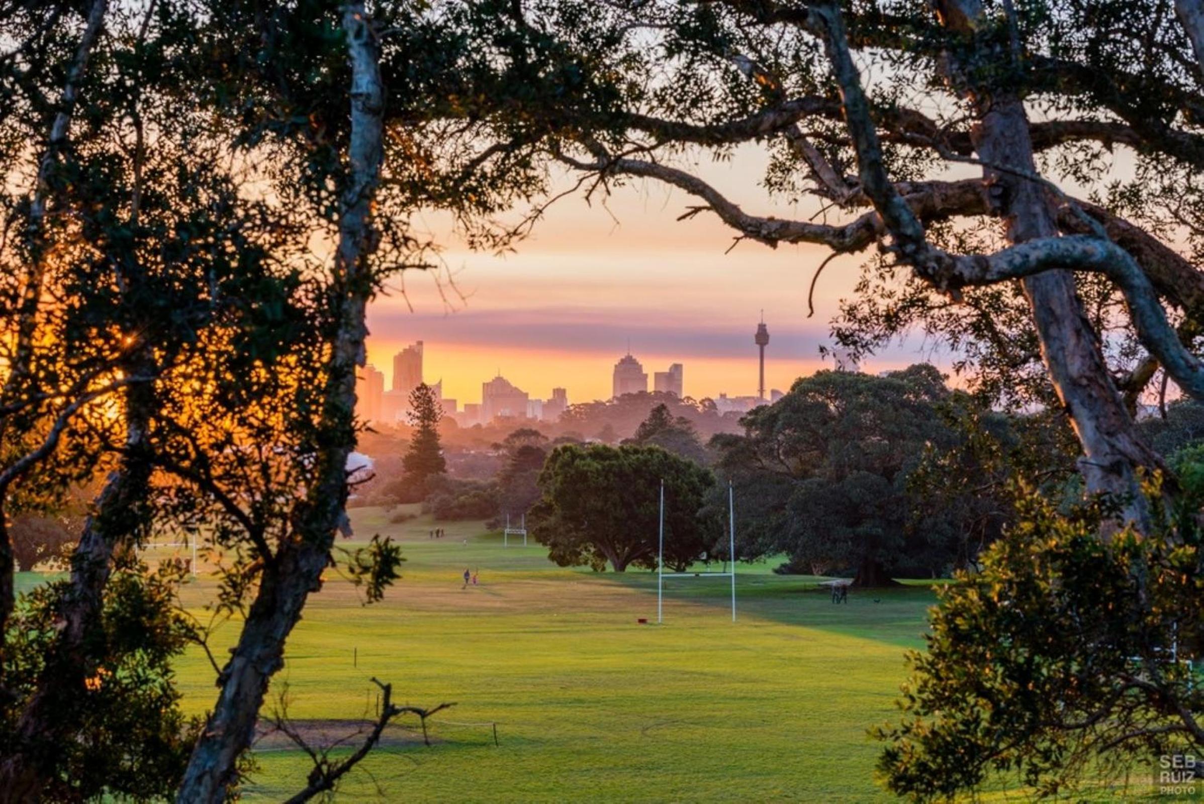 Stunning 2BR with Harbour Views in Bondi Junction