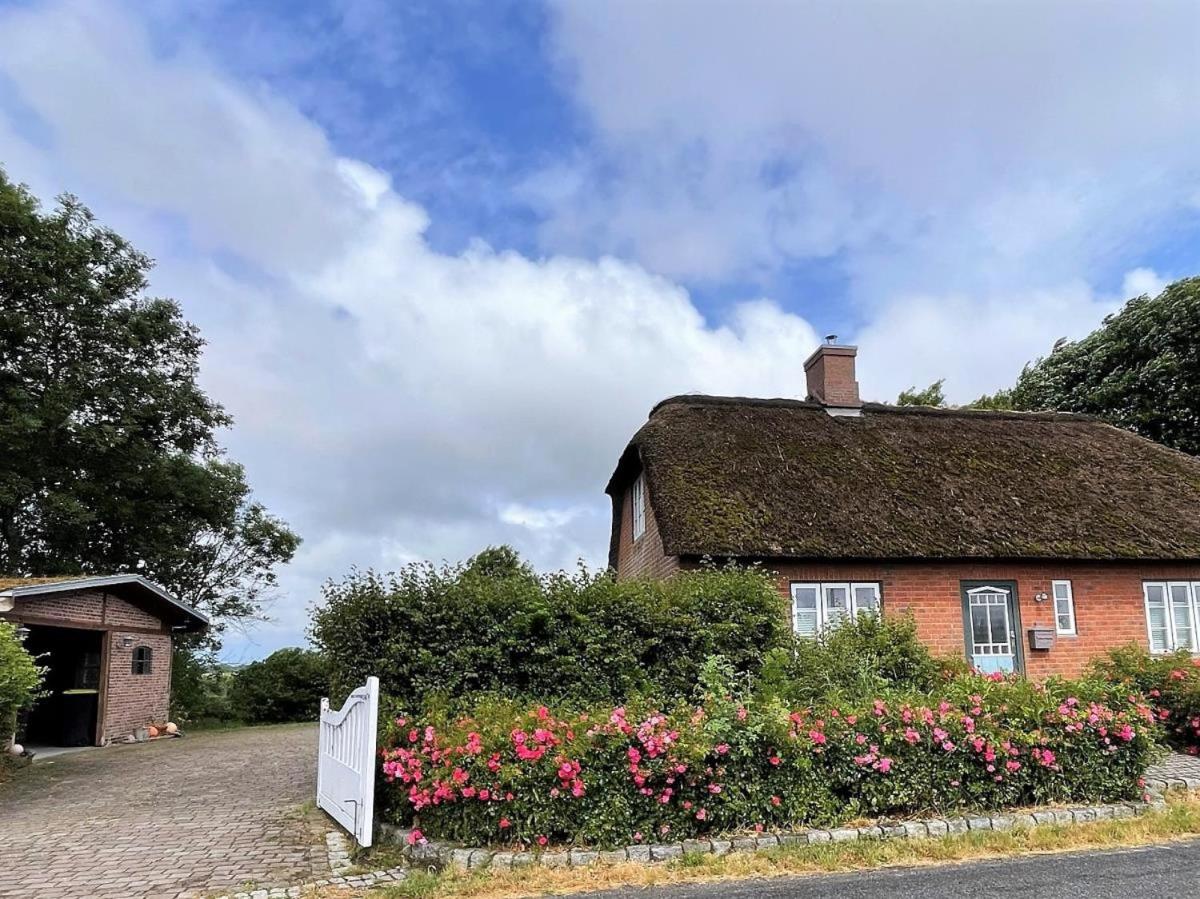 Das Puppenhaus, Reetdach, Sauna, Kamin, eingezäunt, Badewanne, Haustiere willkommen