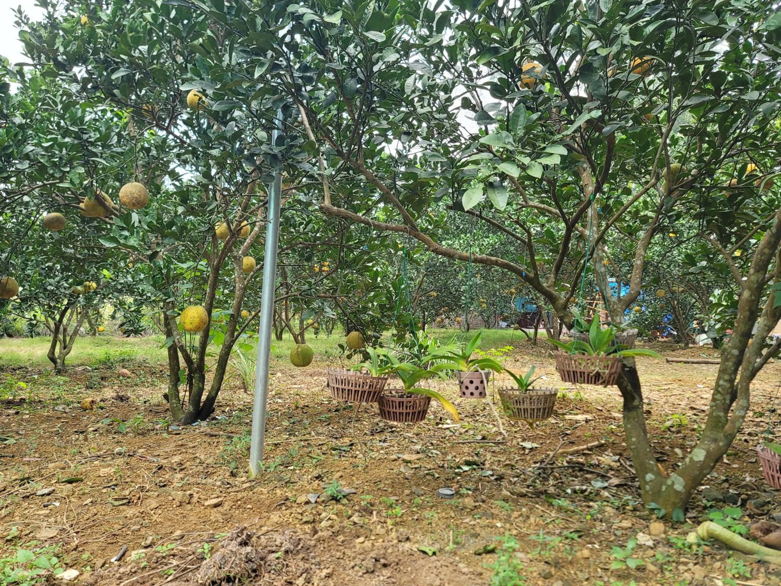 Tâm Viên Homestay Hà Nội