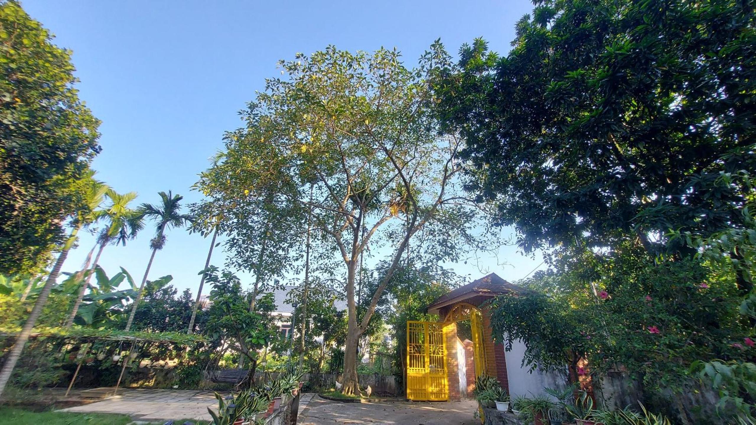 Tâm Viên Homestay Hà Nội