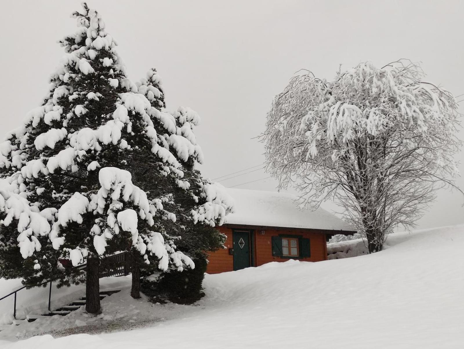 Haus Otis