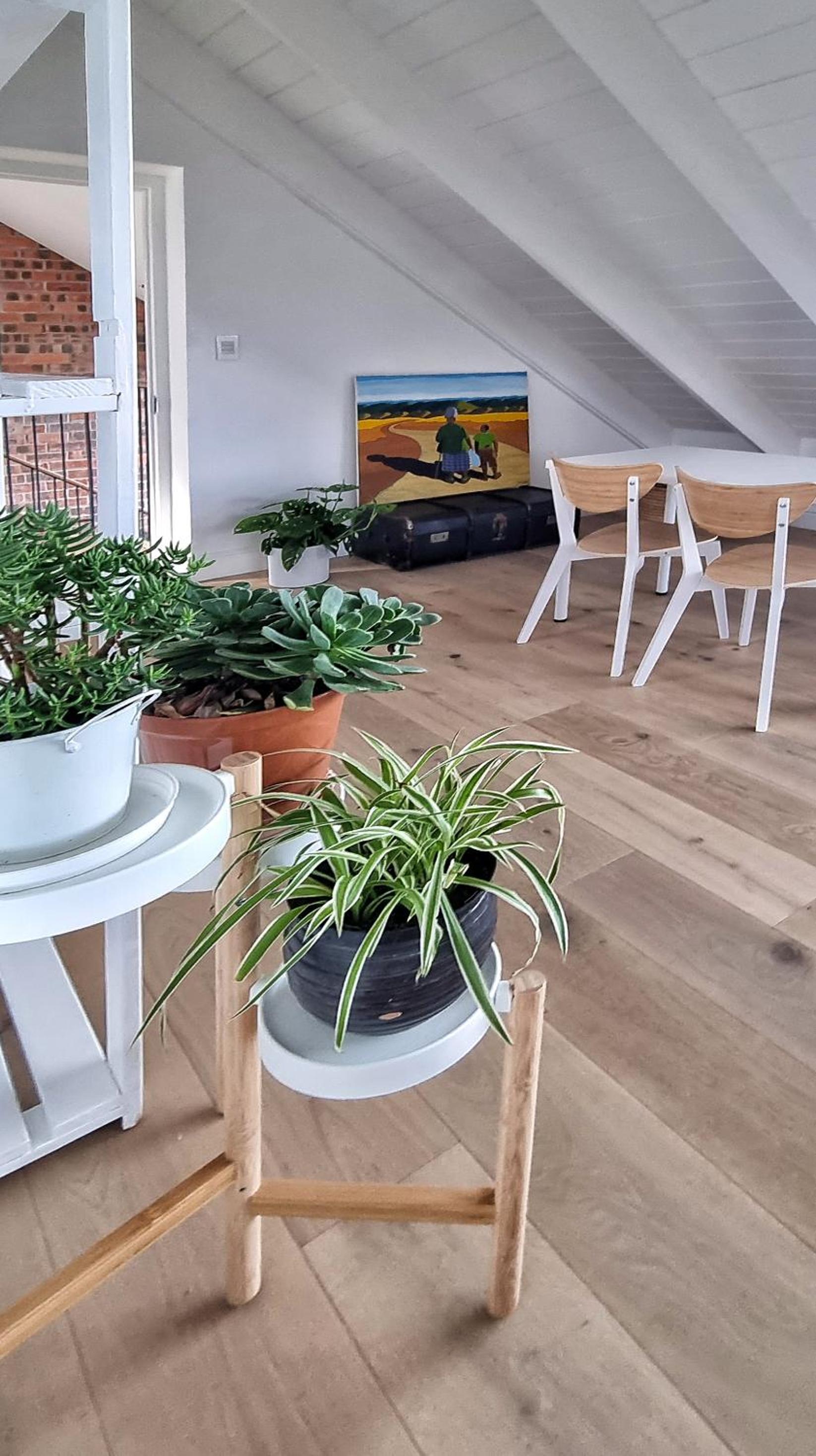 The Dragon Tree Guesthouse view 5