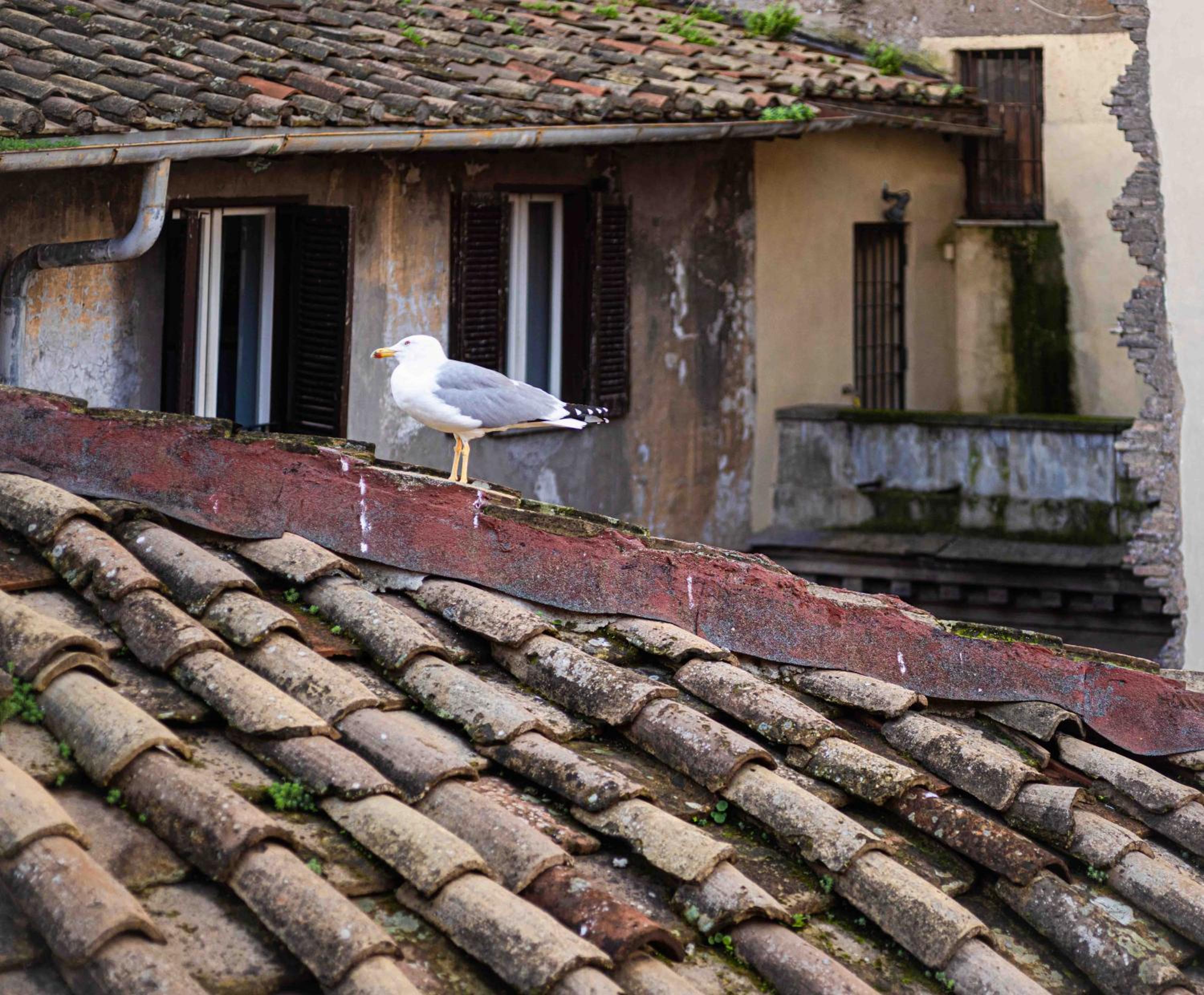 Casa De' Fiori