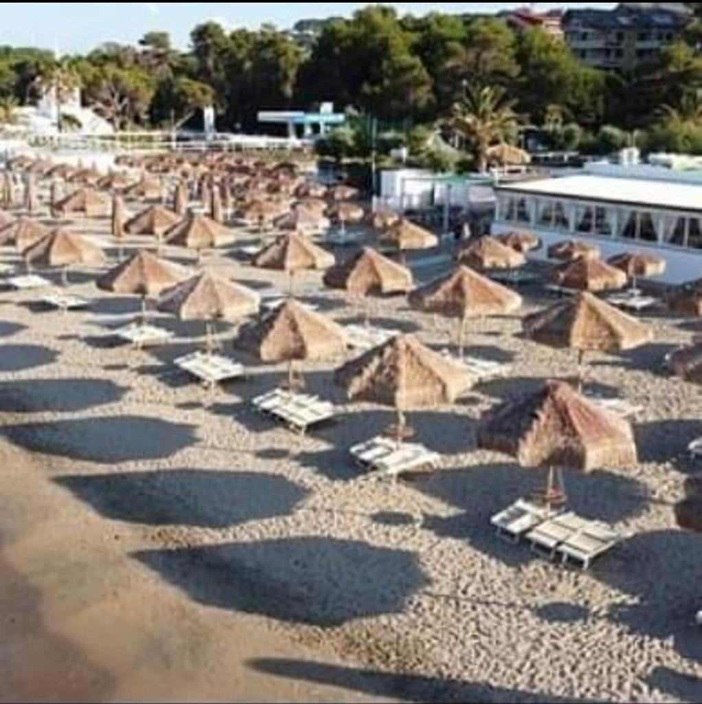 Greta a mare view 2
