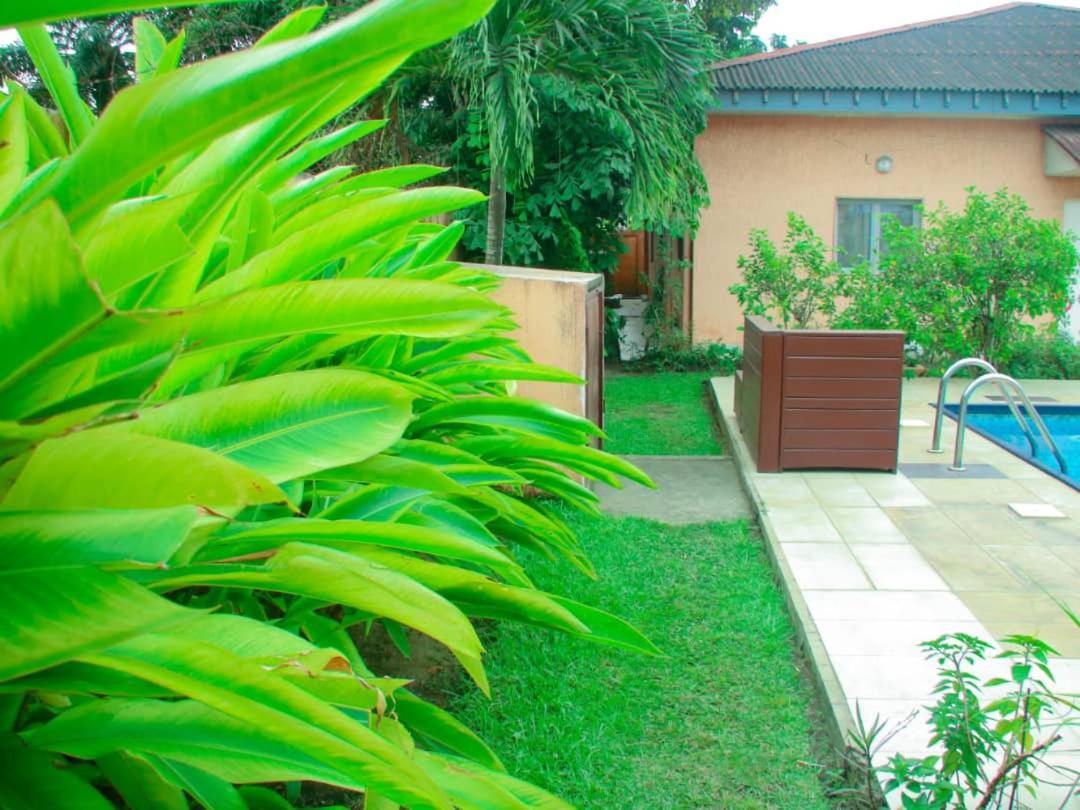 Studio piscine makosso