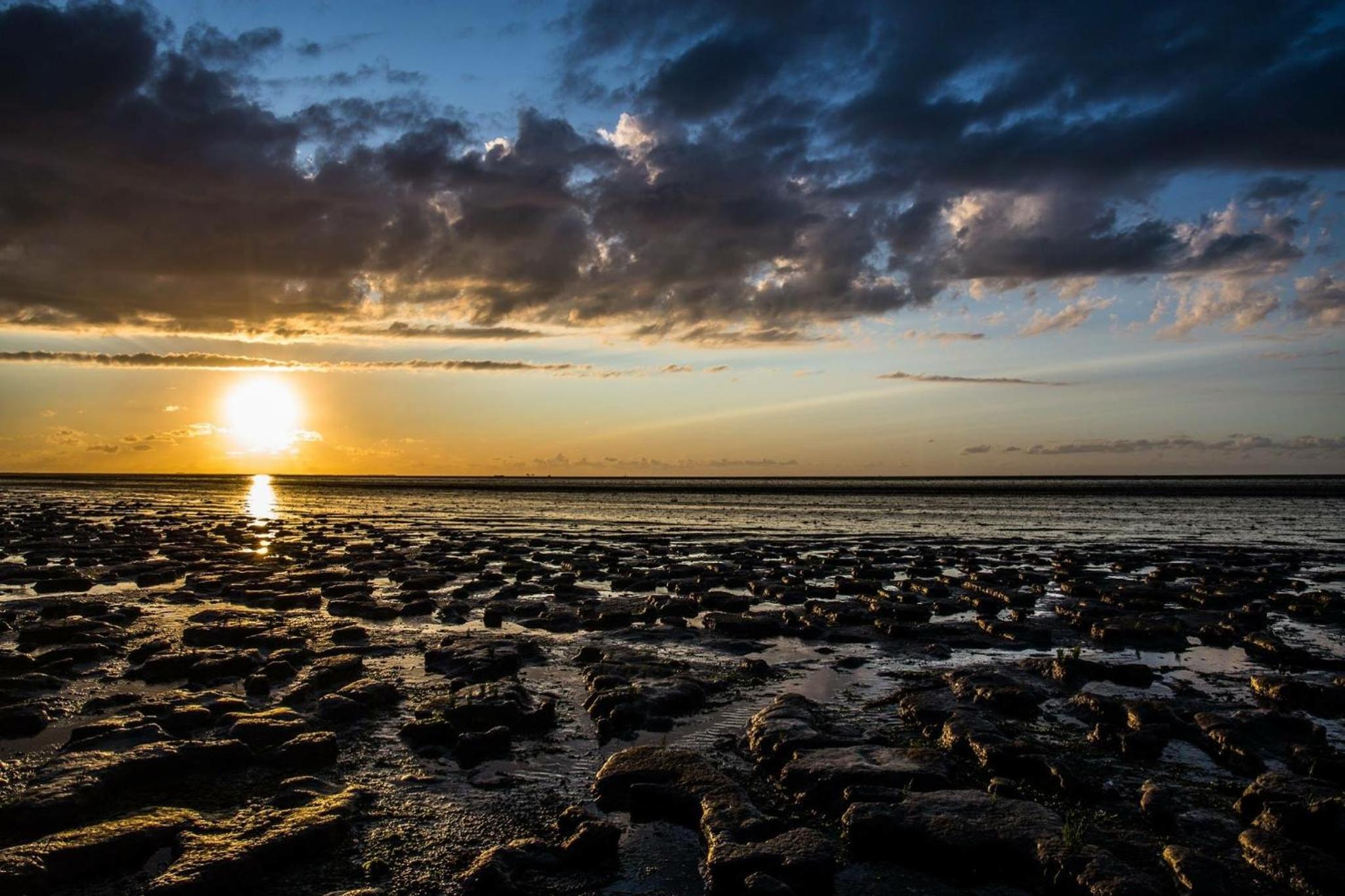 Huize Moddergat! Sleeping on the Wadden Sea. view 3