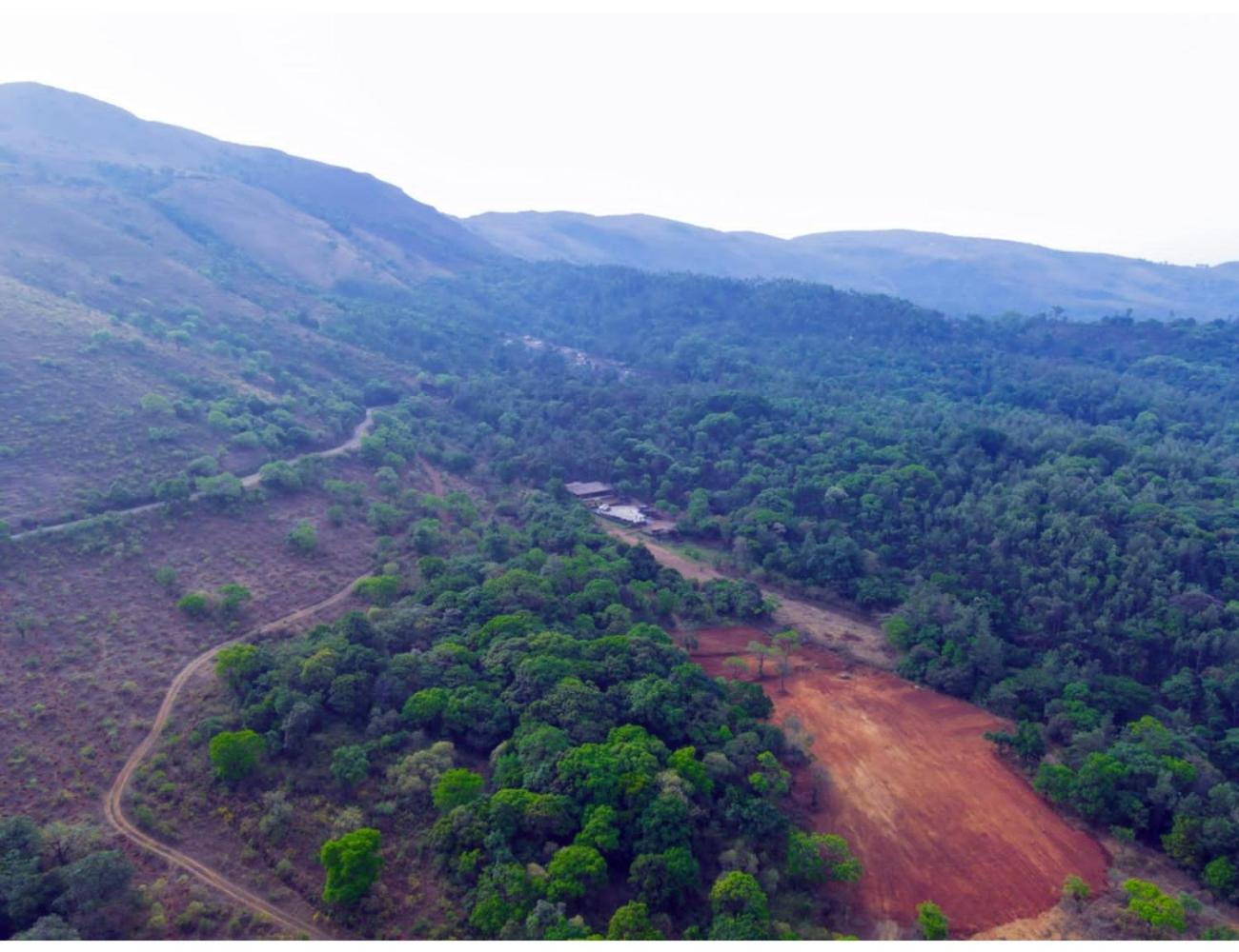 Chill inn, Chikmagalur, Karnataka view 3