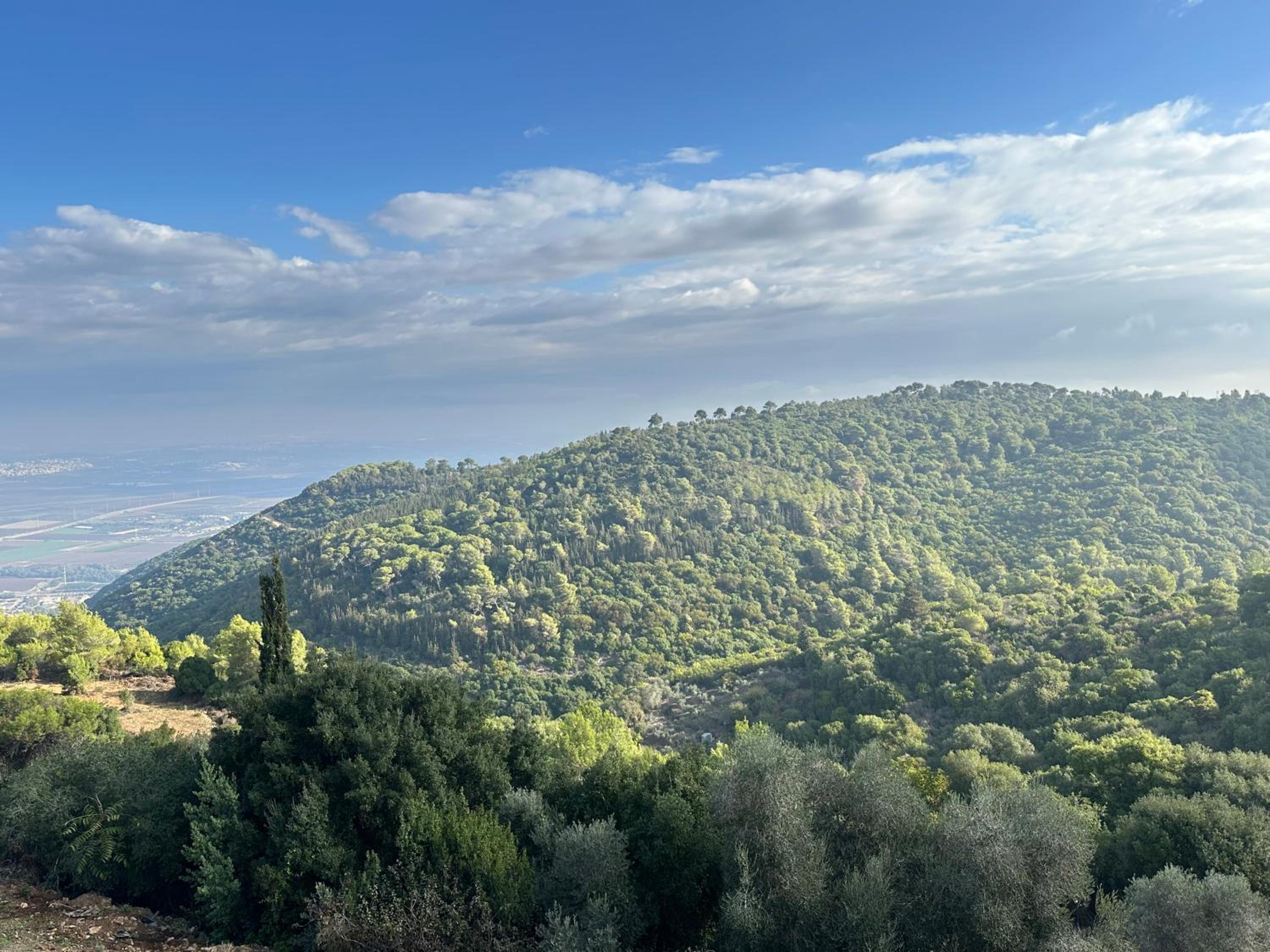 Panoramic View view 4