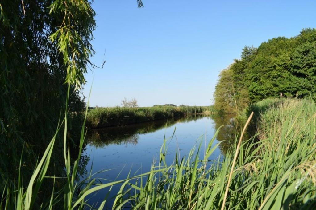 Reetdachhaus Bongsiel