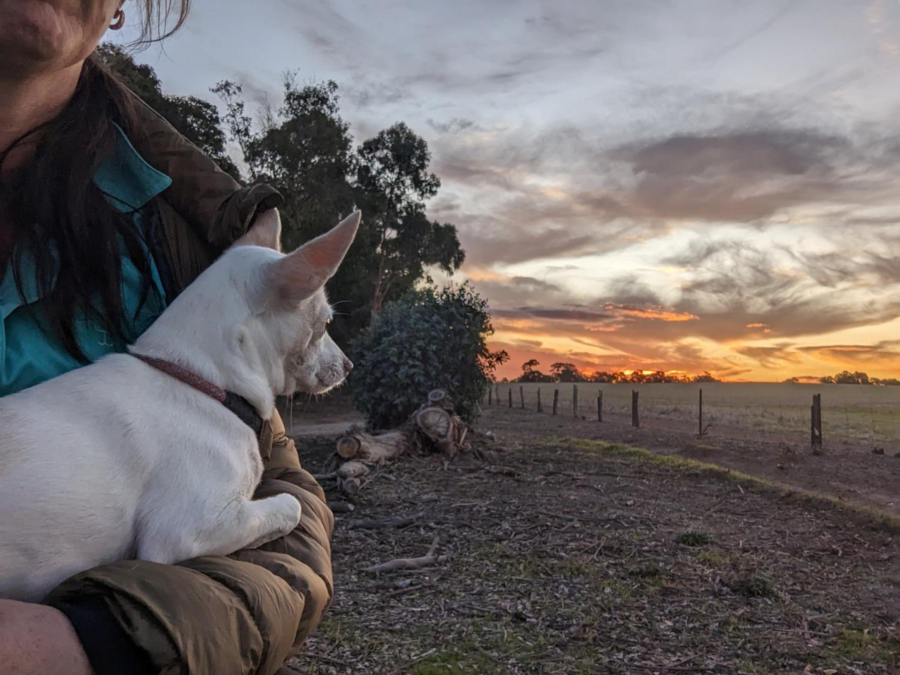 Home and Hound Kendenup