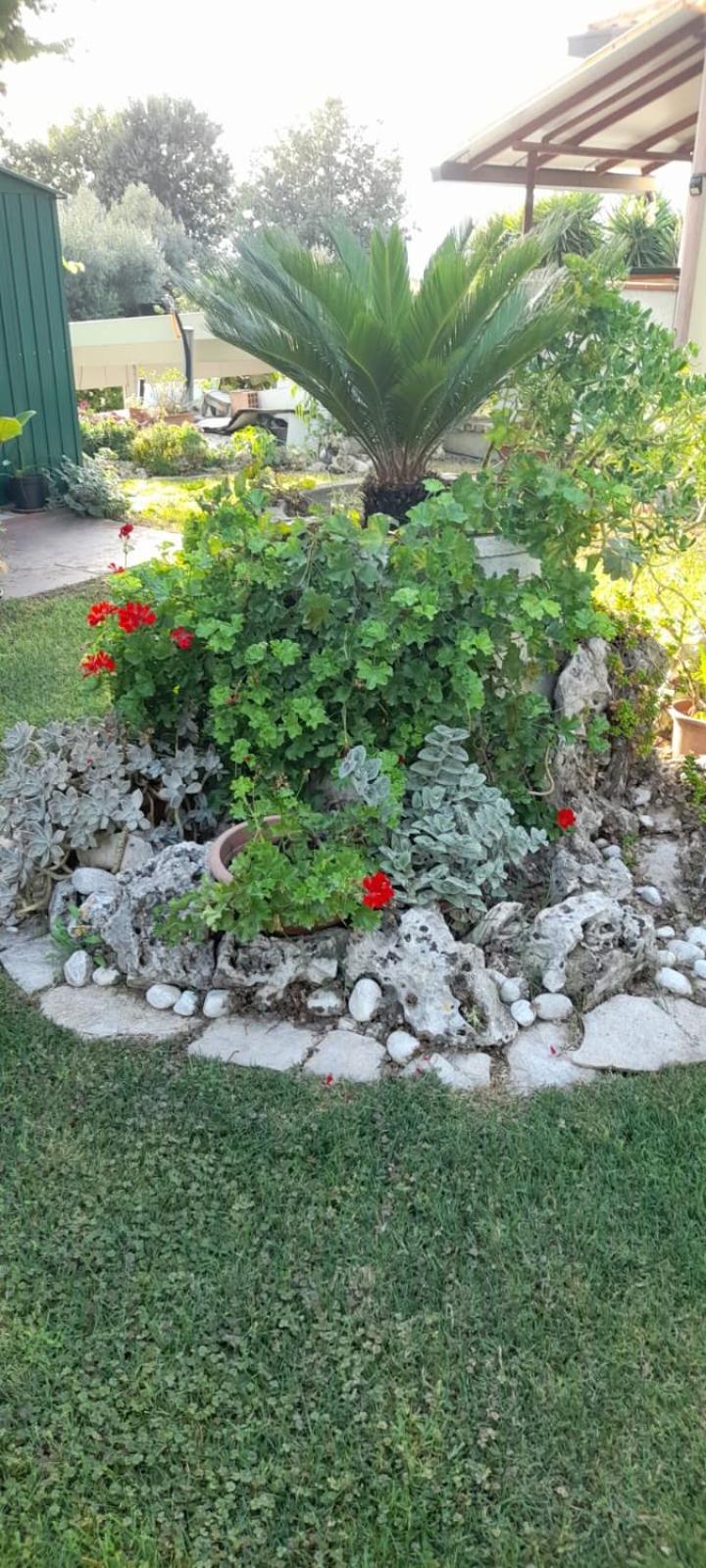 Photo 28