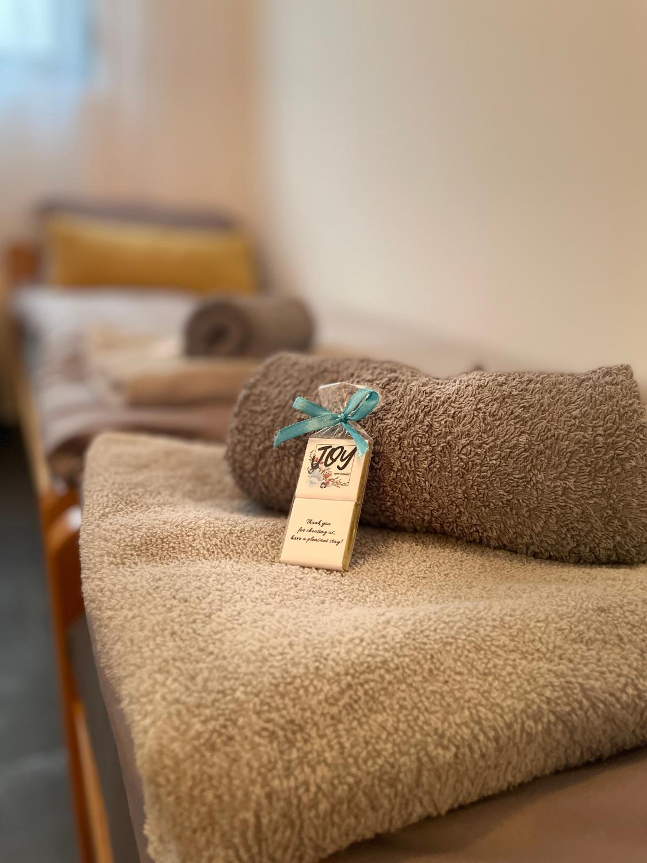 JOY APARTMENTS Zemun,Beograd