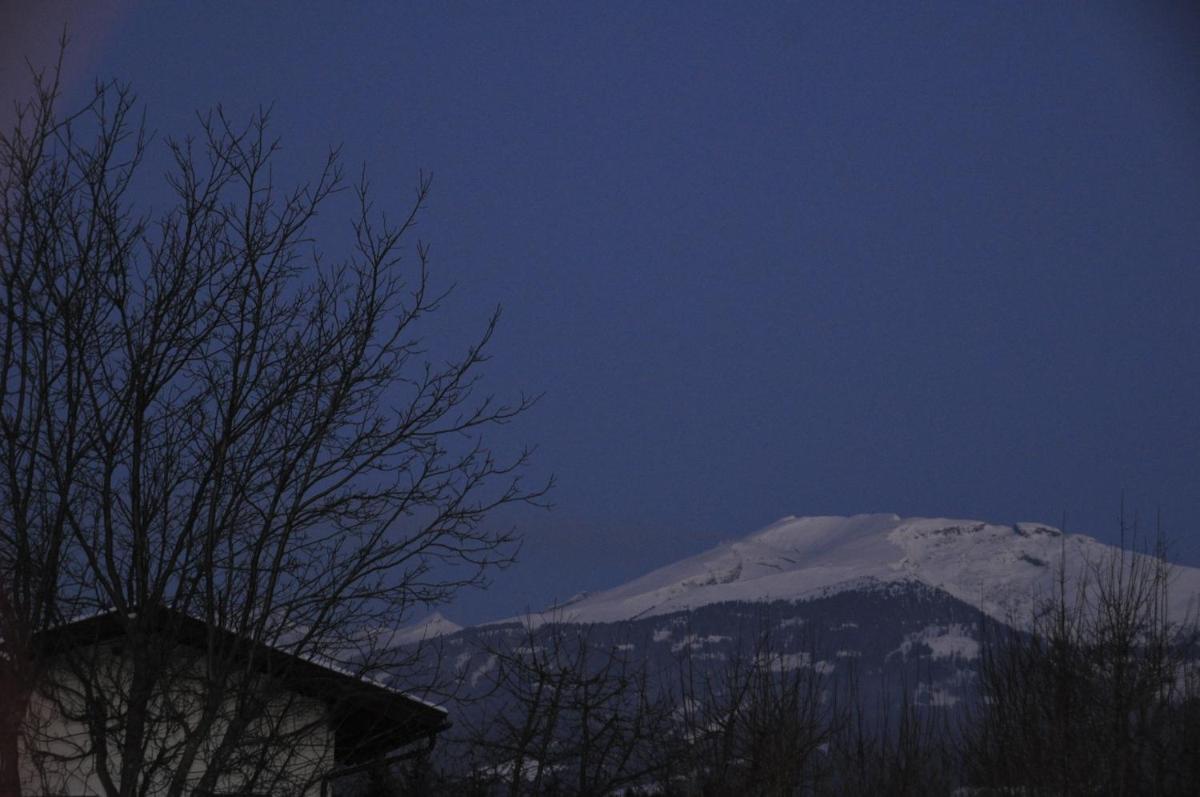 Fewo Löwenherz