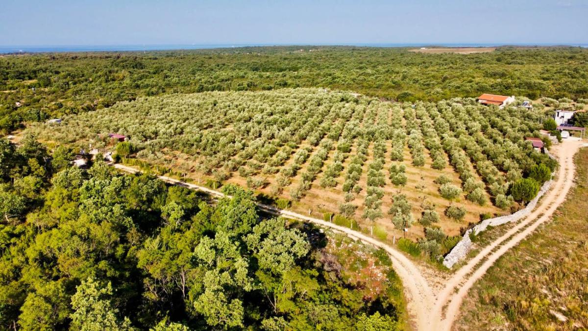 Magnificent Eco Villa Valencano
