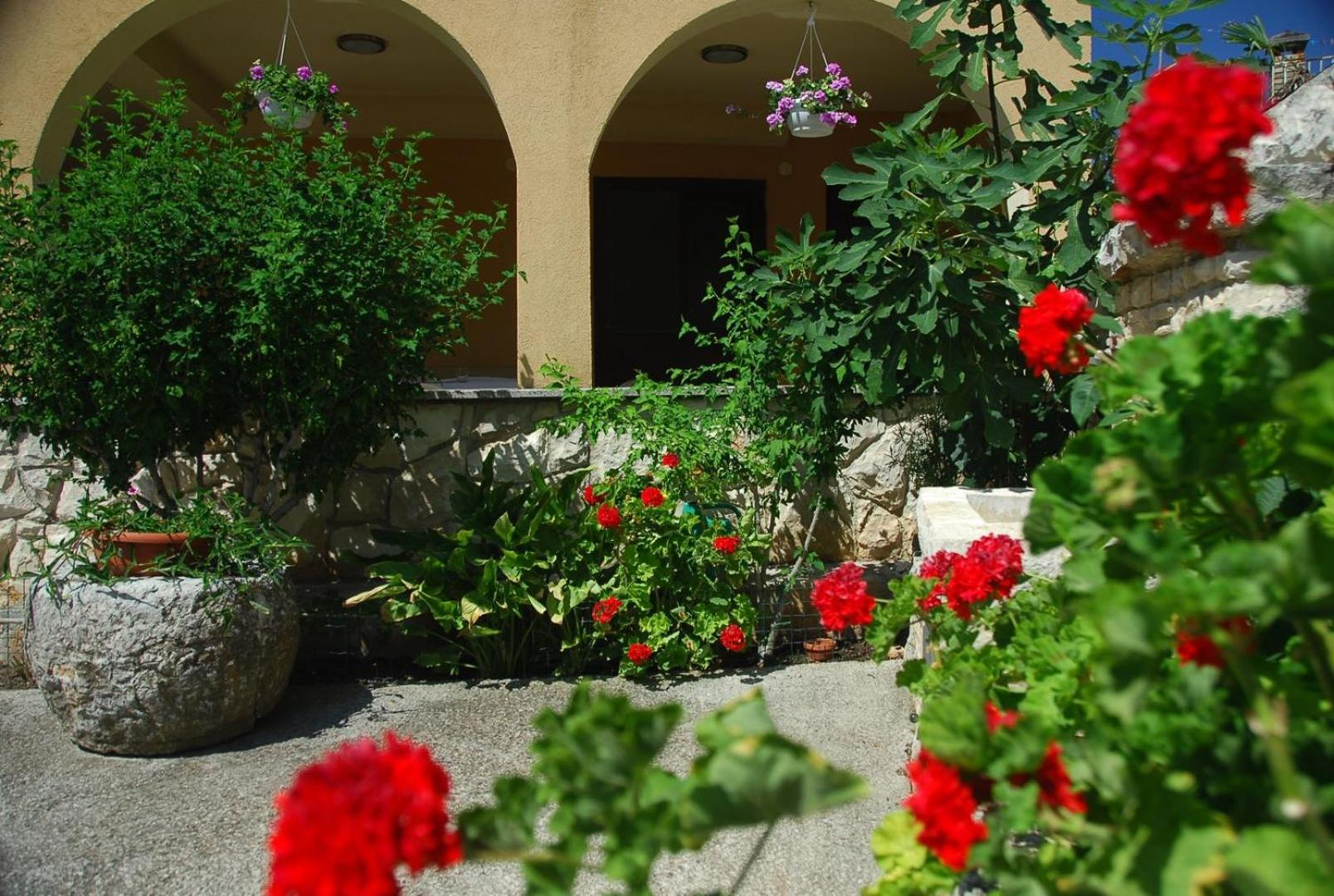 Apartment LIVIA with 2 cozy terraces near Pula view 2