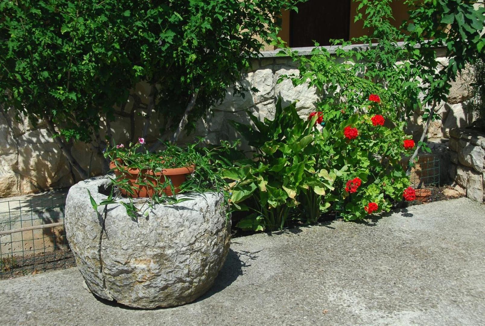 Photo 35