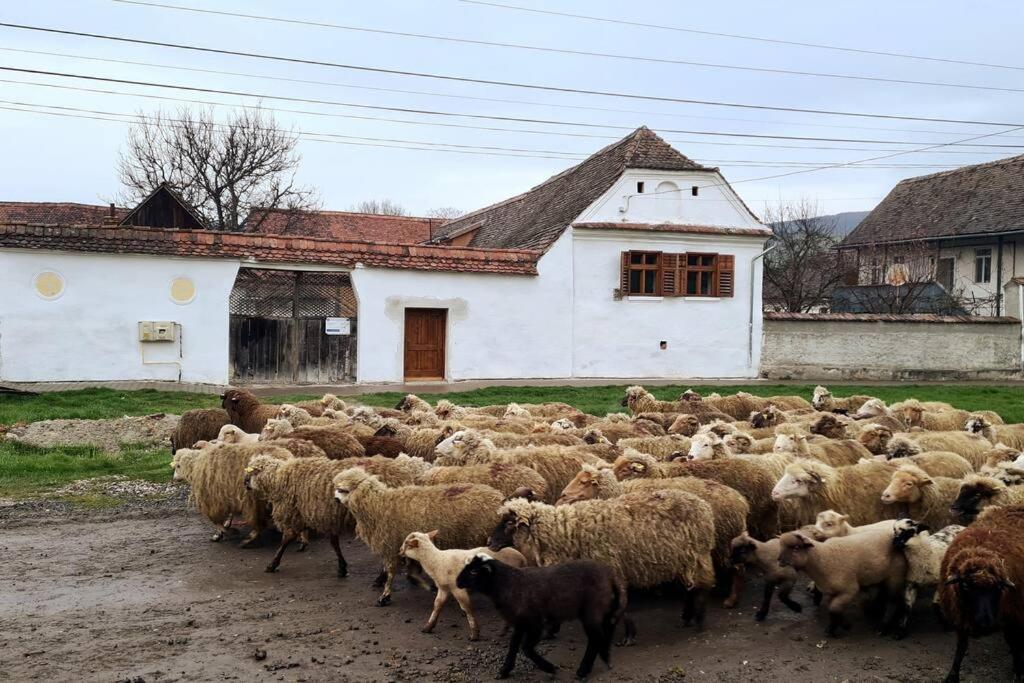 Haus Rether - Transylvanian Guesthouse view 4