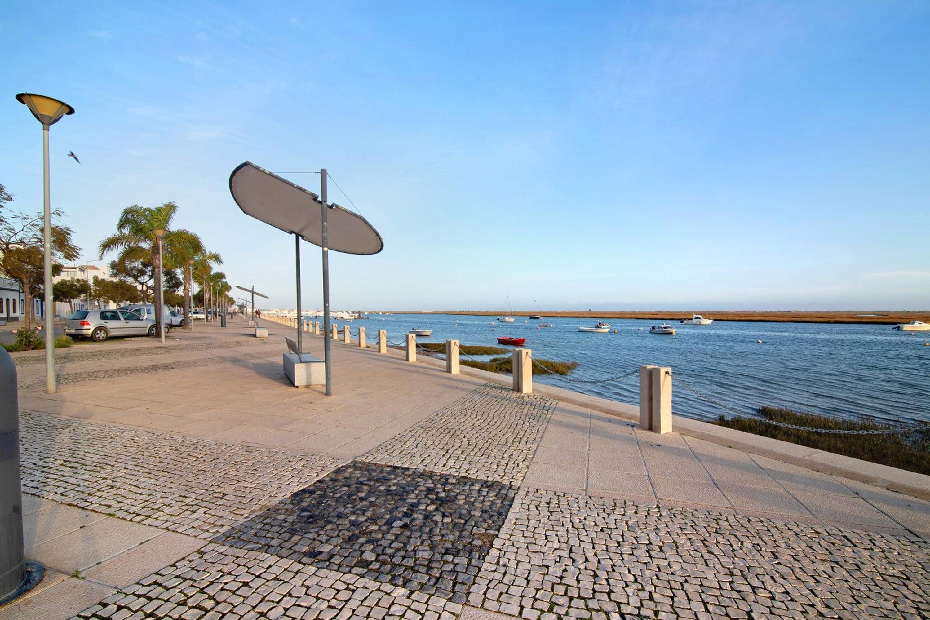 Estrela do mar view 4