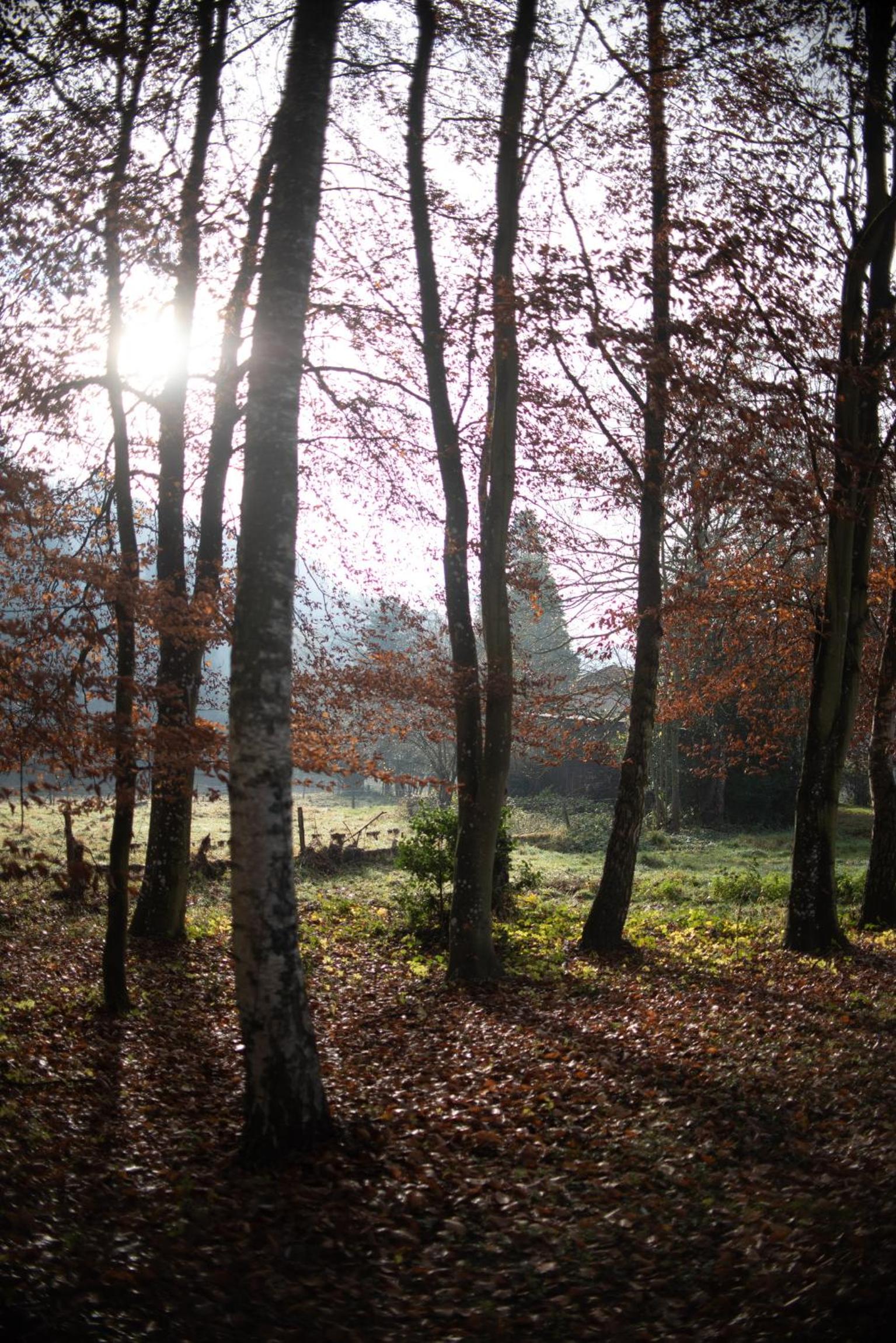 Ecolodge du Moulin