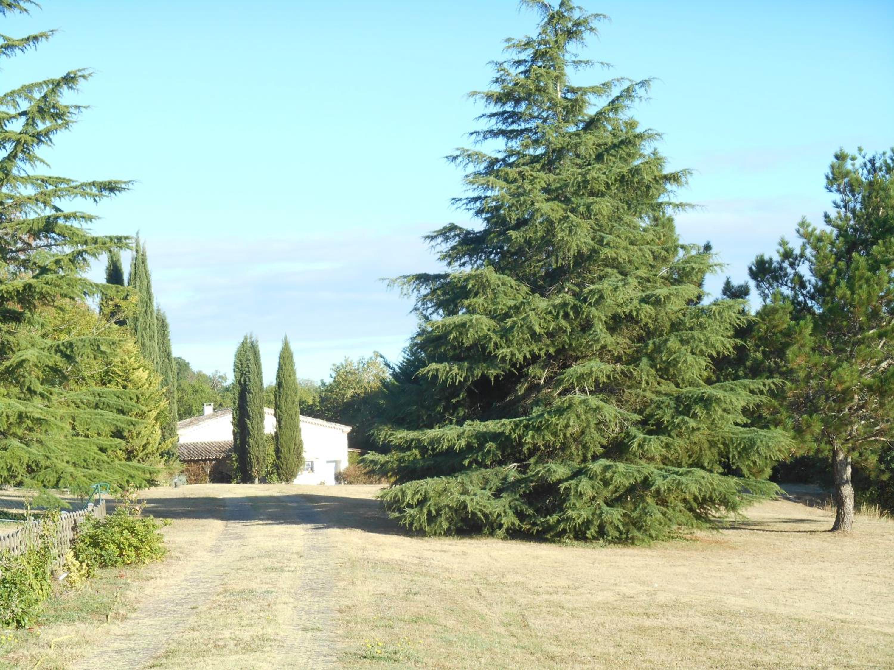 Photo 22