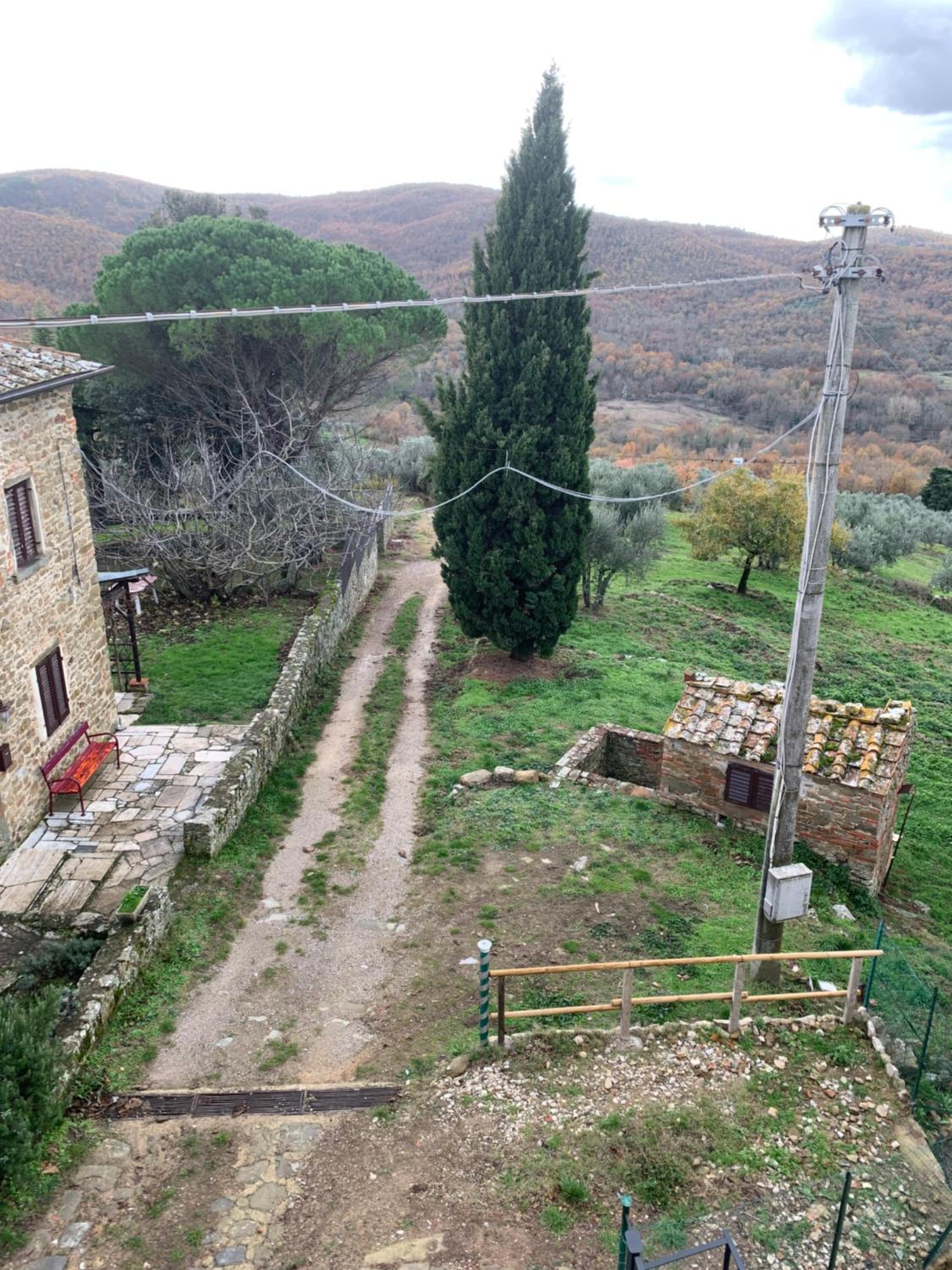 Il Glicine