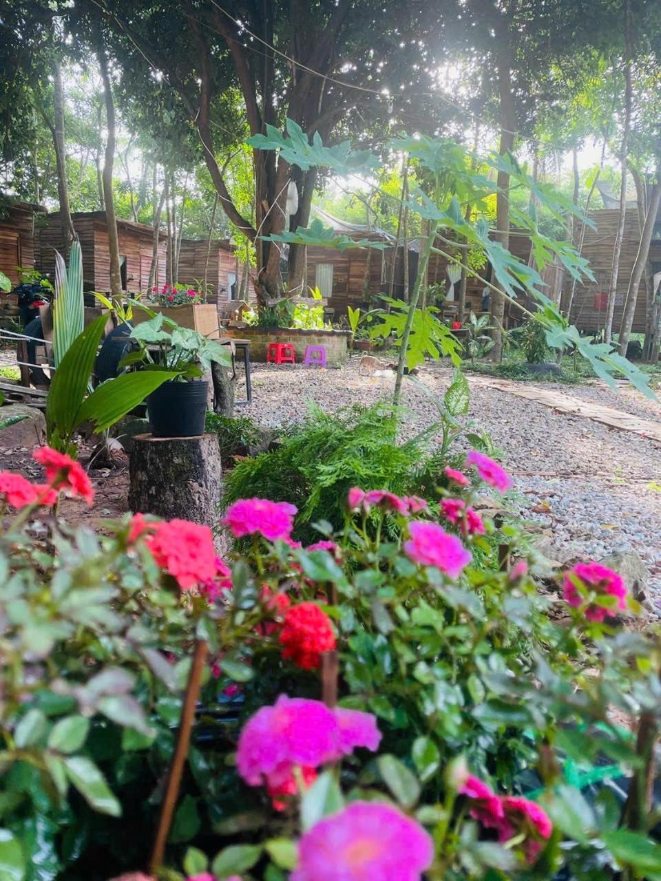 ღ Forest Beach Retreat ღ Sunny Huynh Studio ღ view 2
