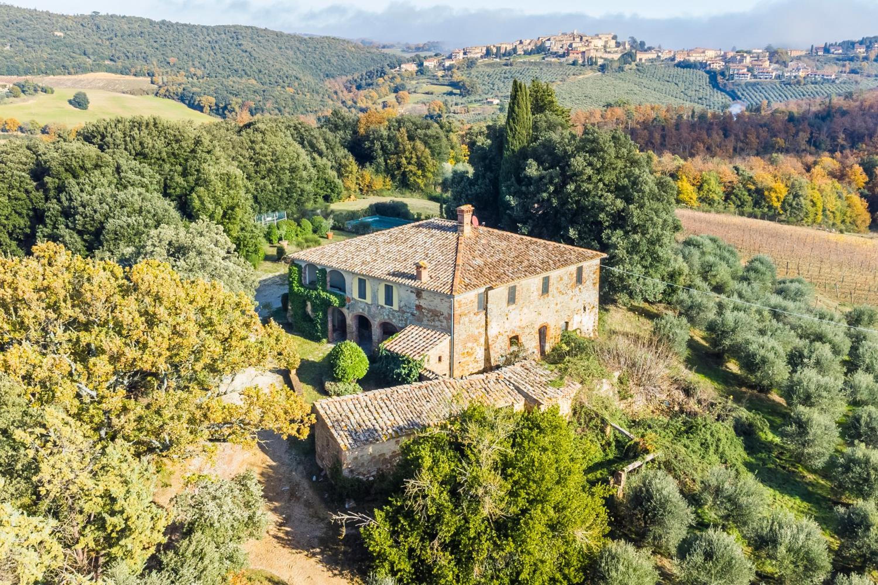 Villa Colombini by Mmega view 2
