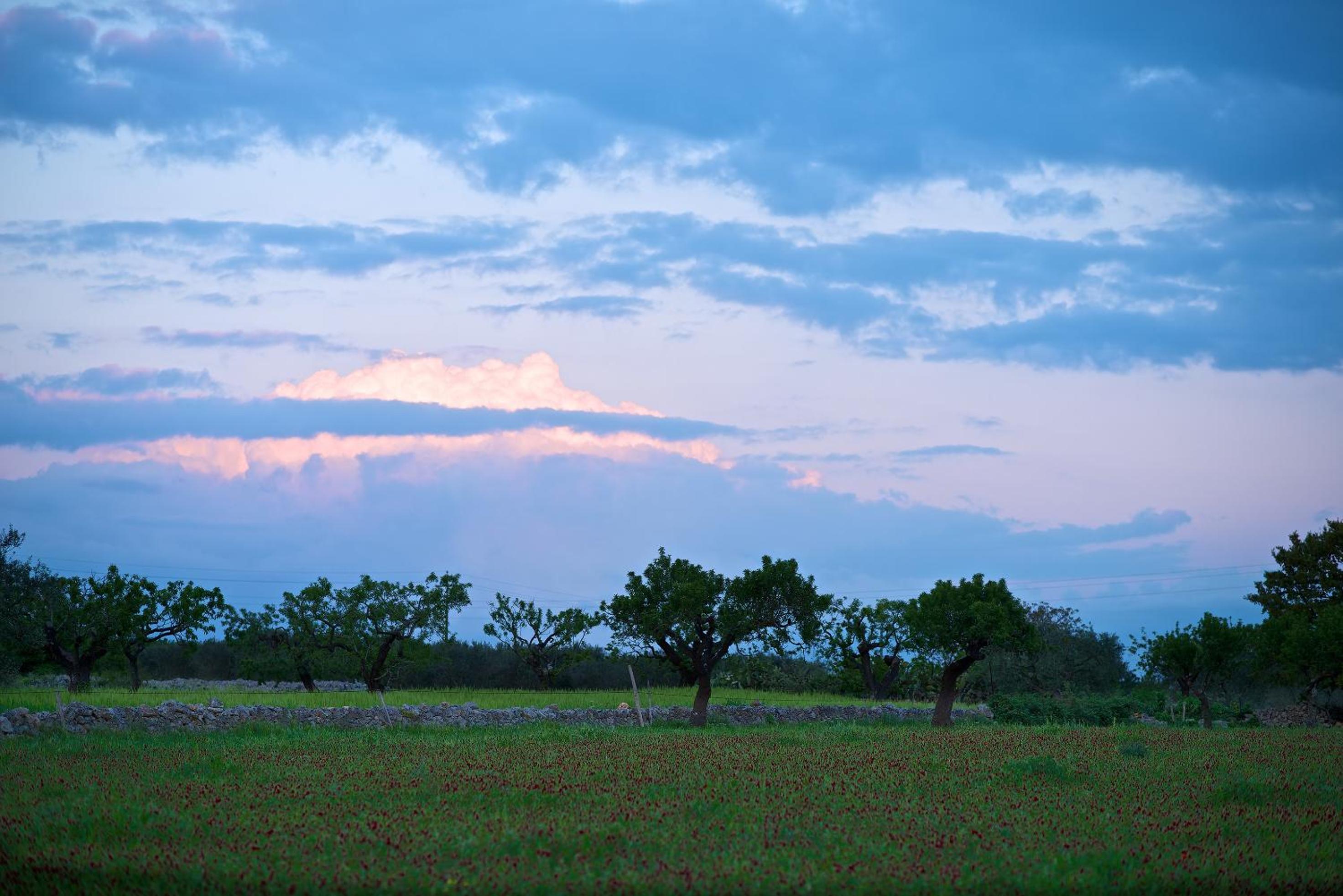 Masseria Ciavea