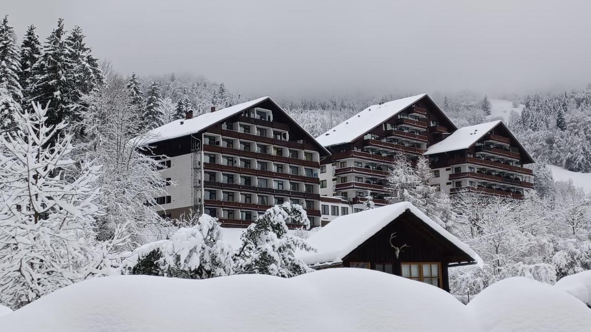 dachstein view