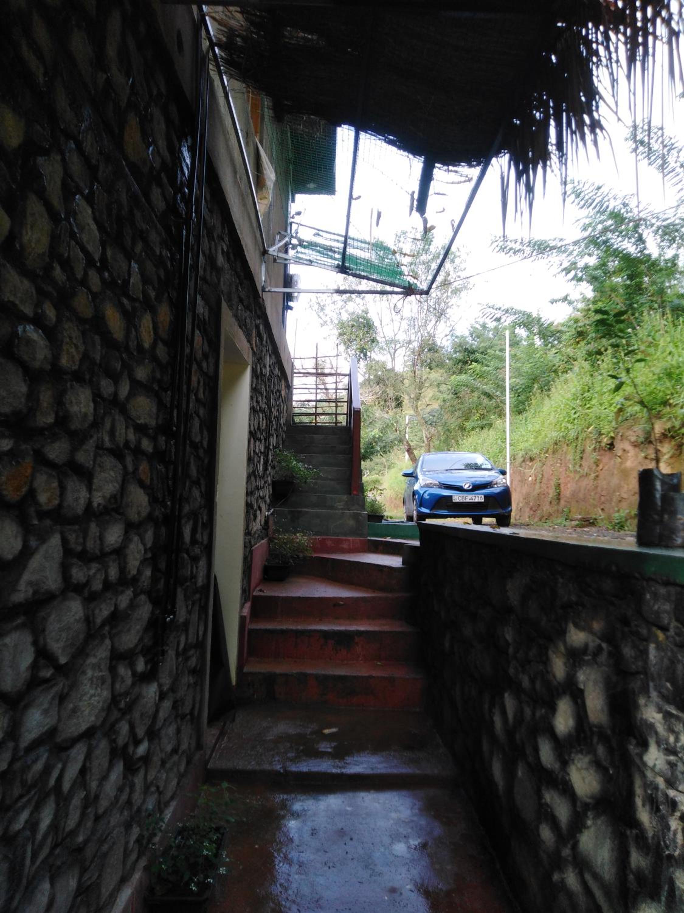 Photo 42