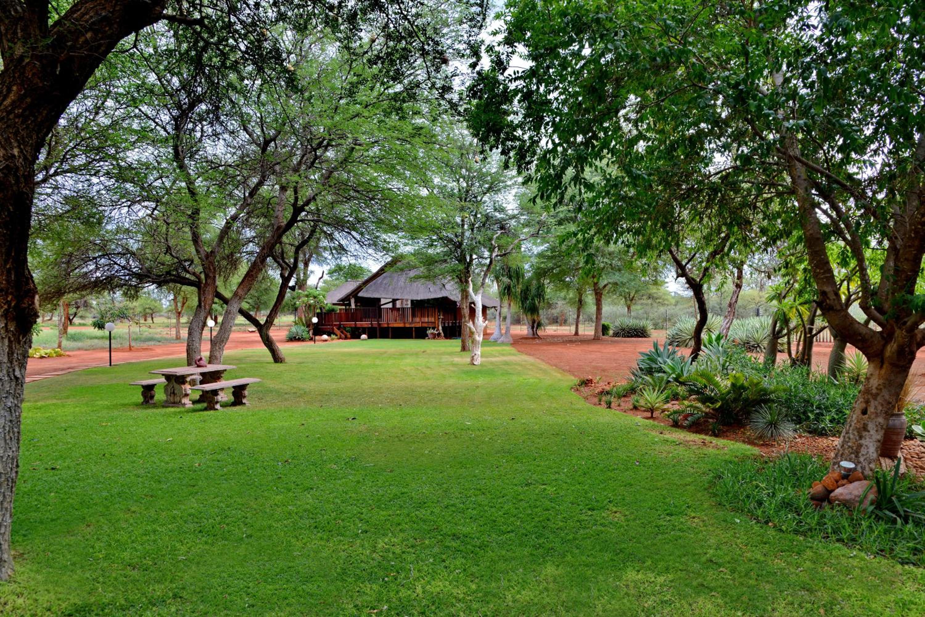 Photo 201