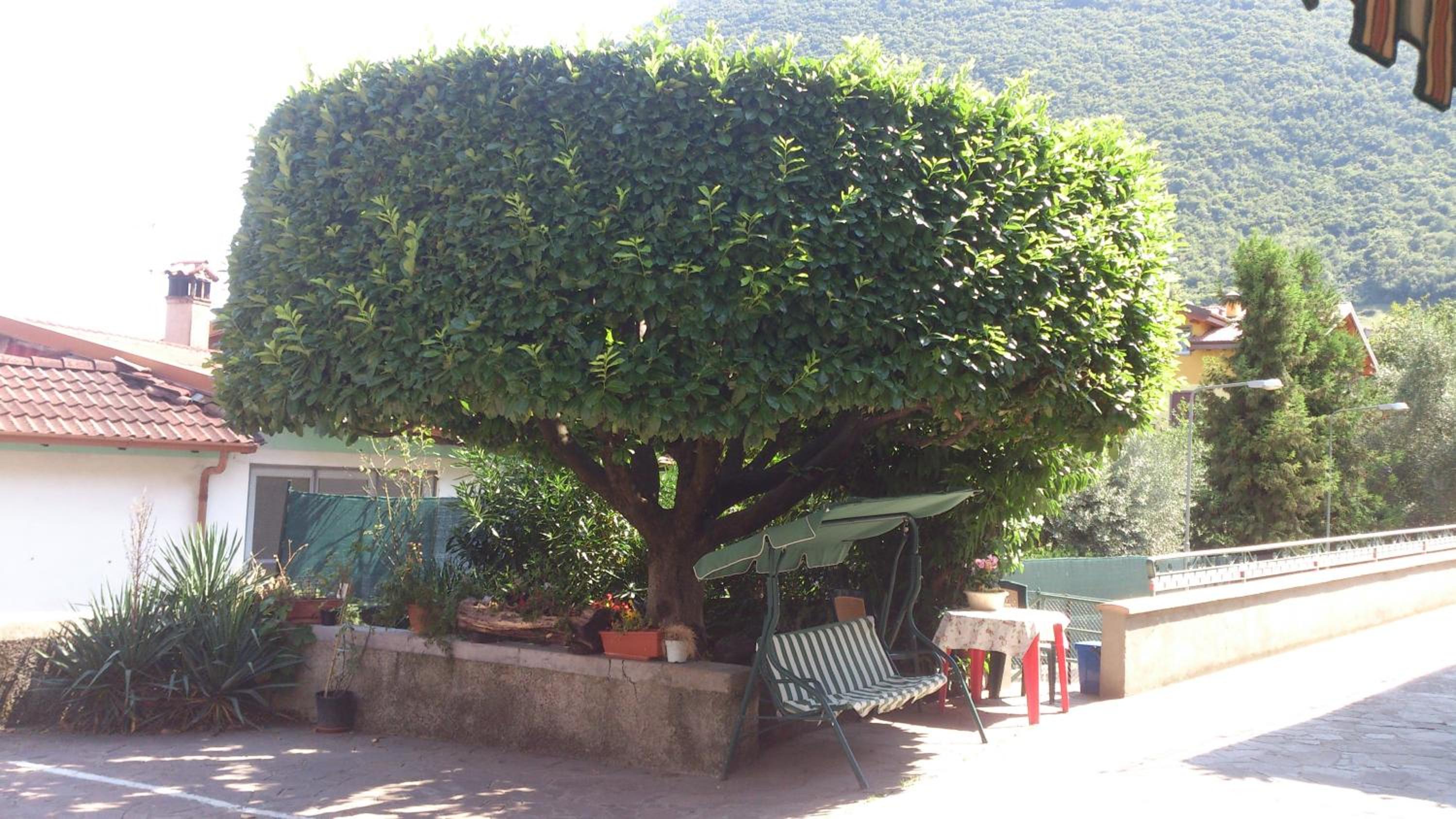B&B Curtif view 4