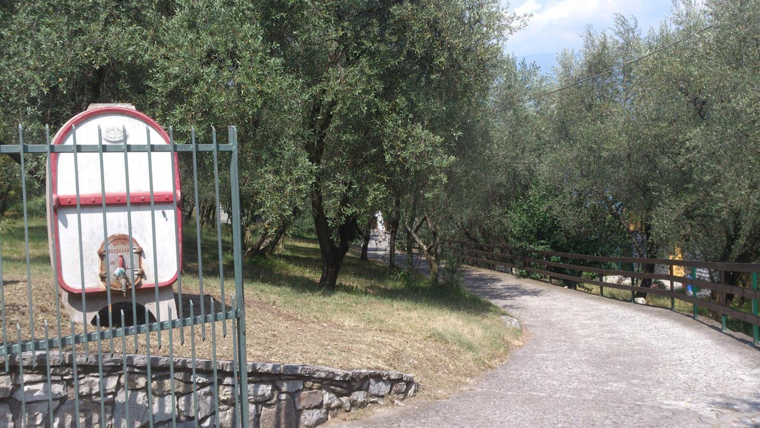 Photo 8