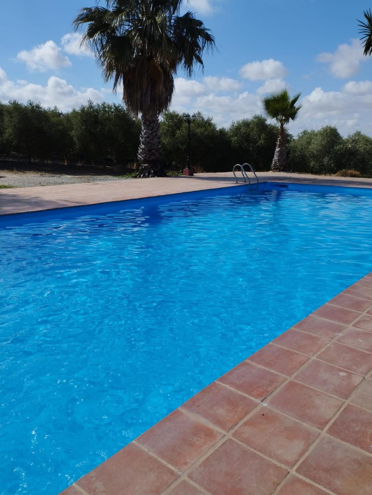 Finca Castellares