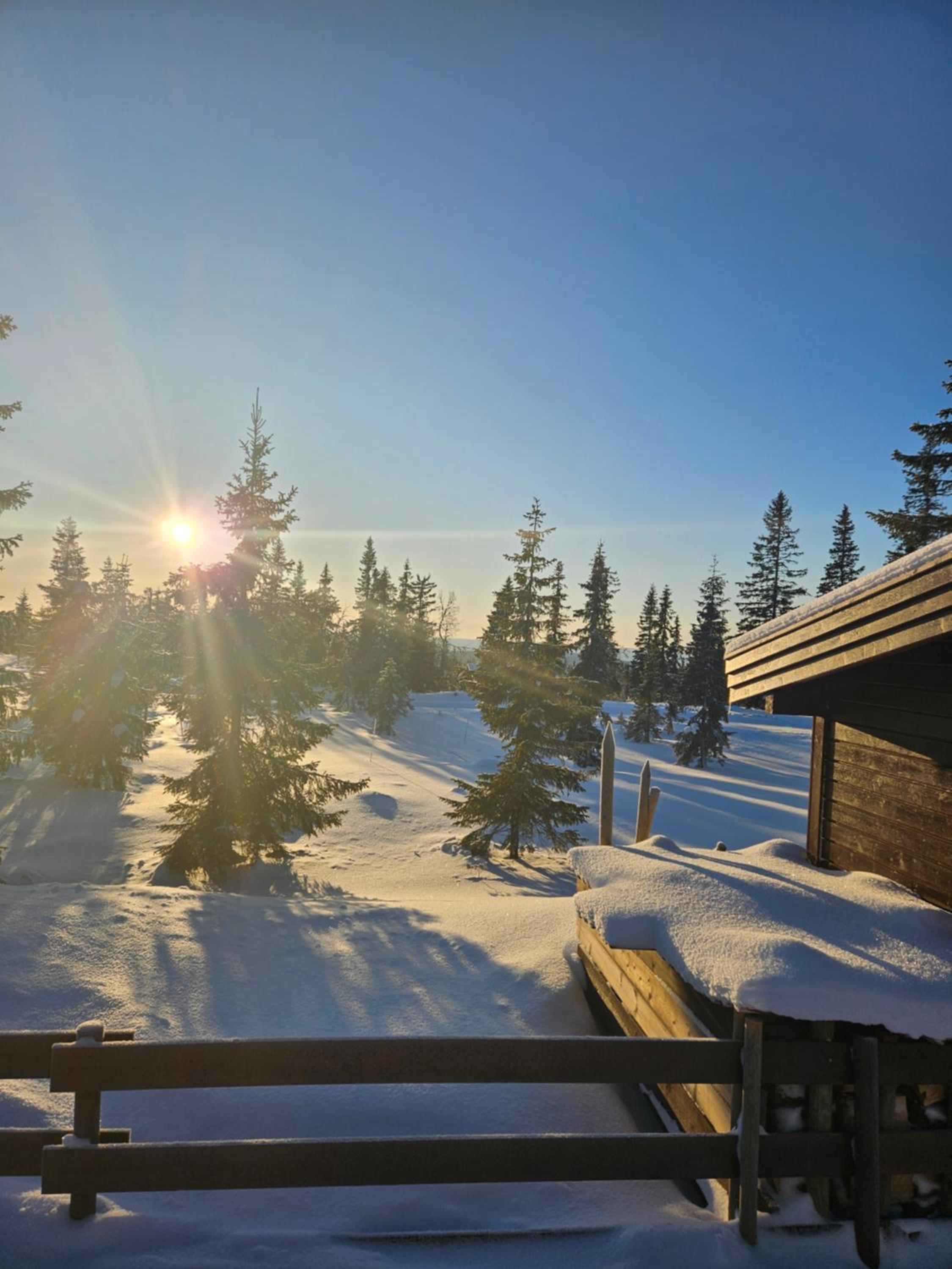 Hytte i Ringsaker (Ljøsheim/Sjusjøen)