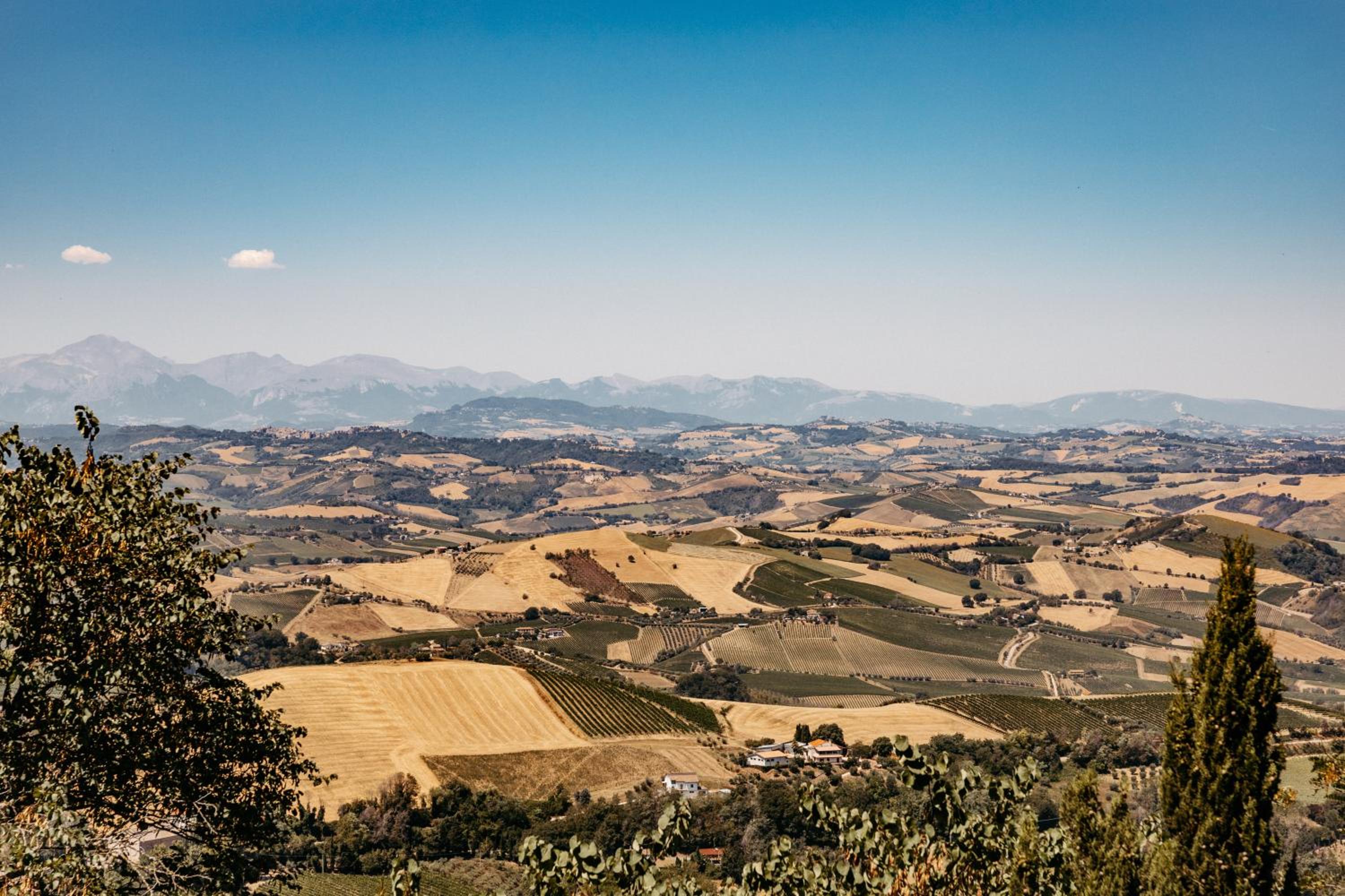 Agricola La Casetta view 5