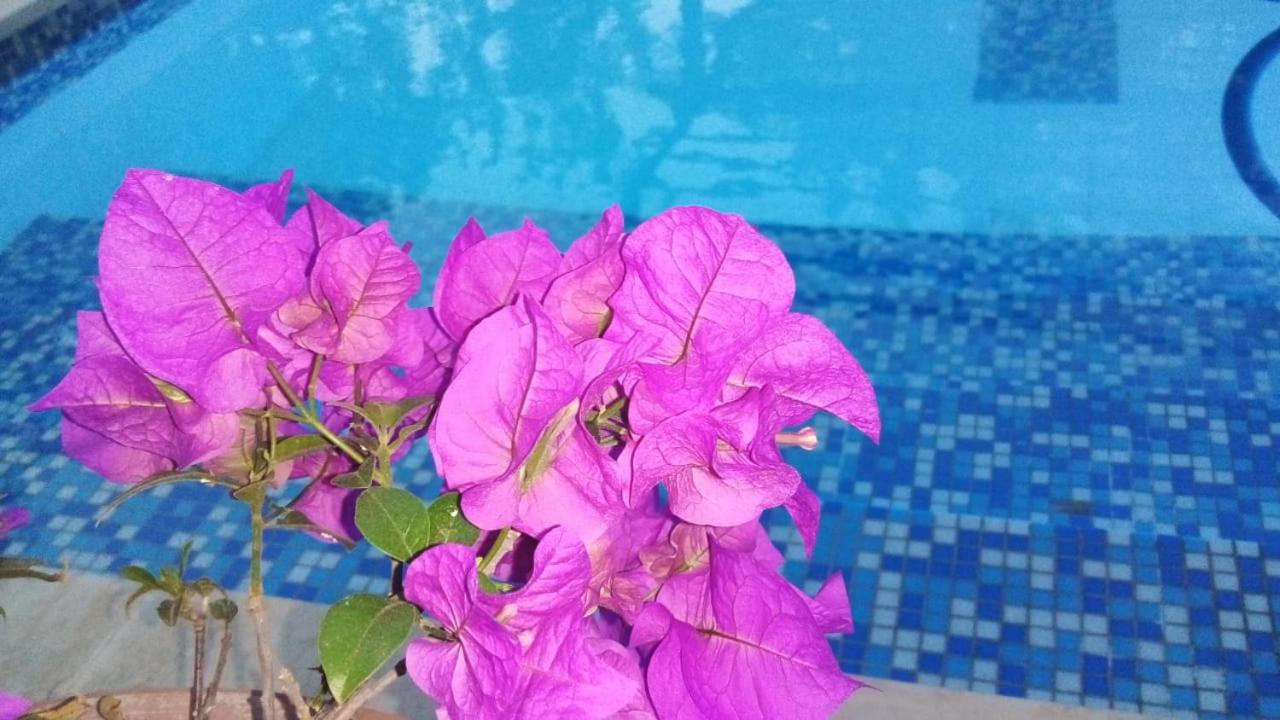 Santa Marta Vacations - Cabana Recinto del Pensar - Property Image 58