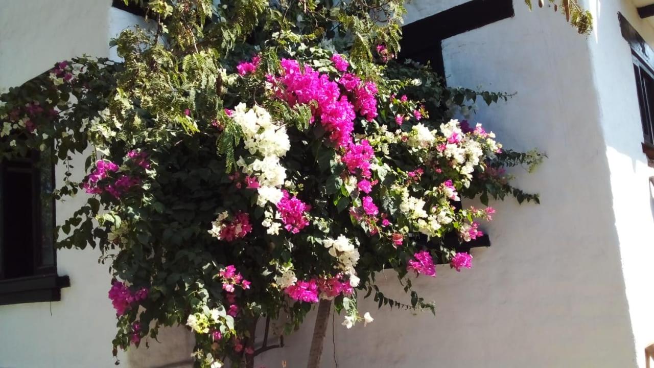 Santa Marta Vacations - Cabana Recinto del Pensar - Property Image 61