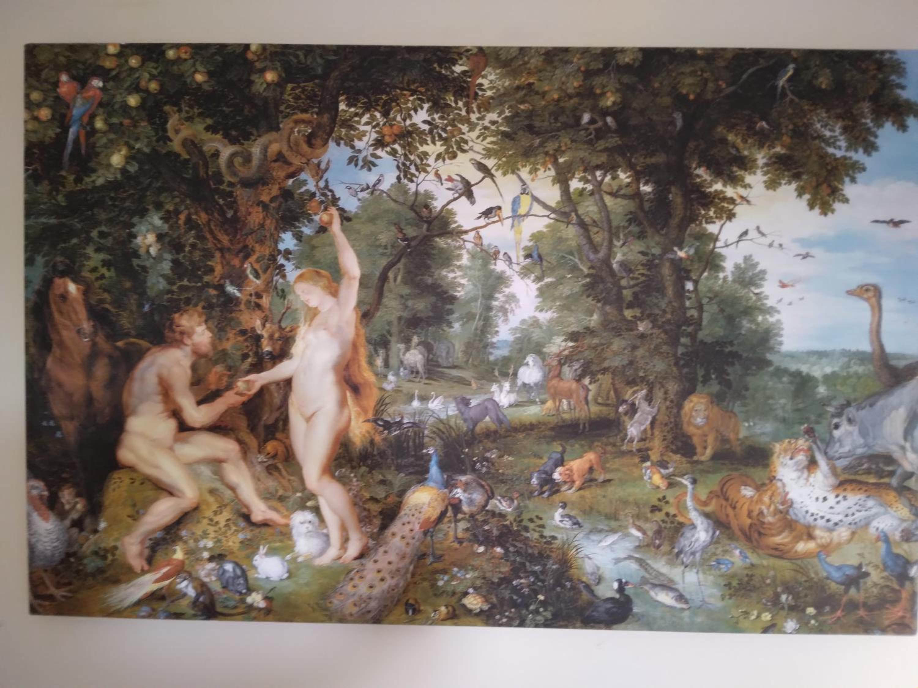 MERSINERA Paradise Garden 2