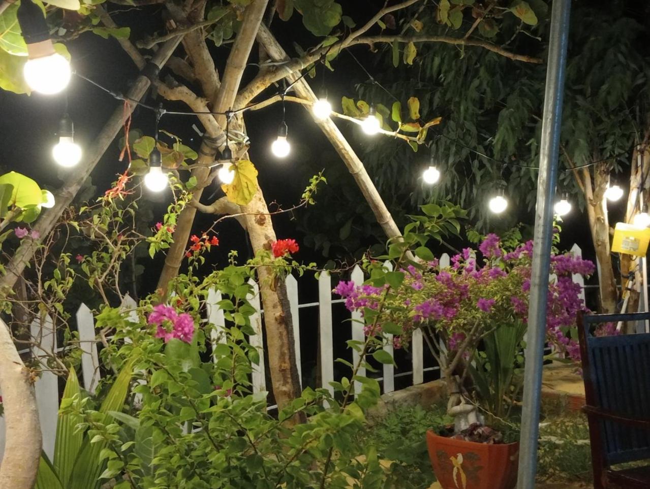 Photo 19