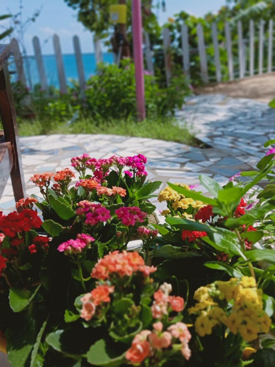 Biển Tình Homestay view 3