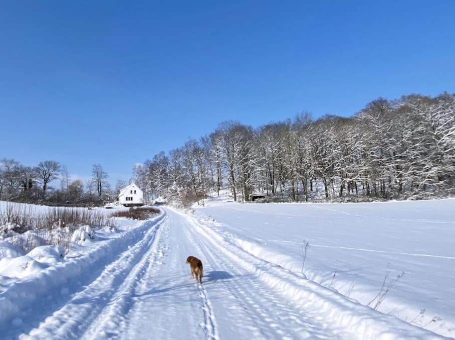 Forsthaus auf Gut Malberg